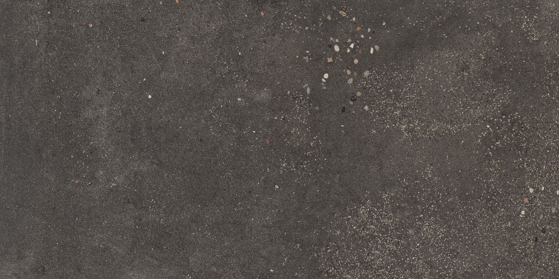 Area 51 24x48 Grip Porcelain 2CM Paver Tile in Black