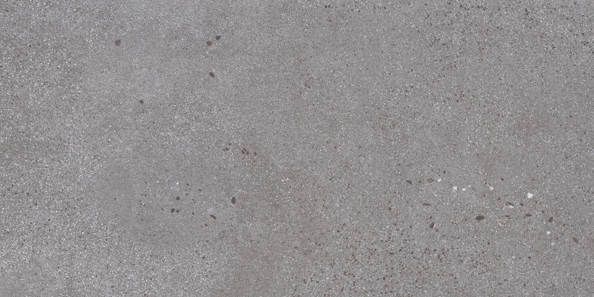 Area 51 24x48 Grip Porcelain 2CM Paver Tile in Steel