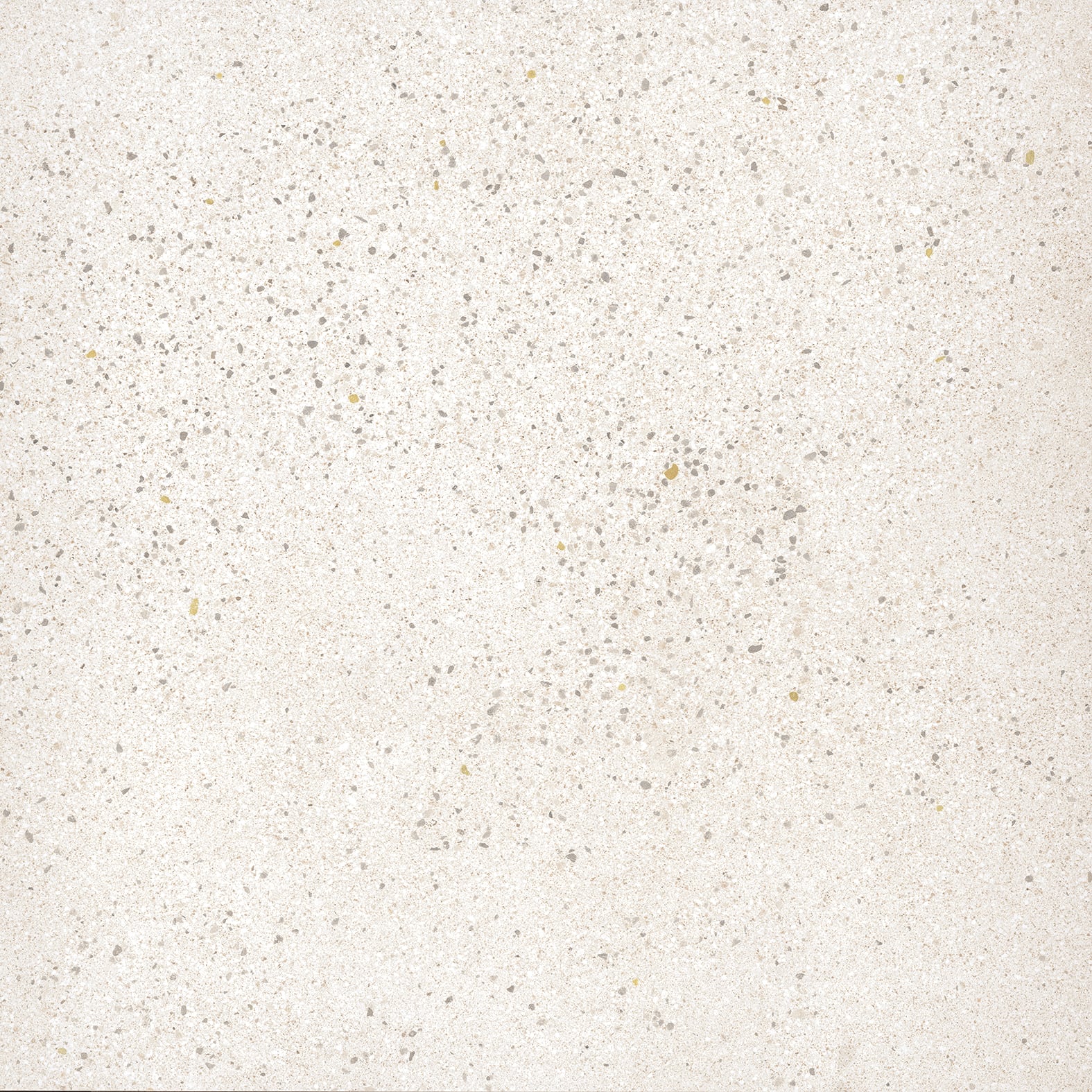 Area 51 24x24 Matte Porcelain Tile in White
