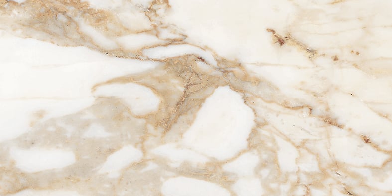 Classica 12x24 Matte Porcelain Tile in Calacatta Gold