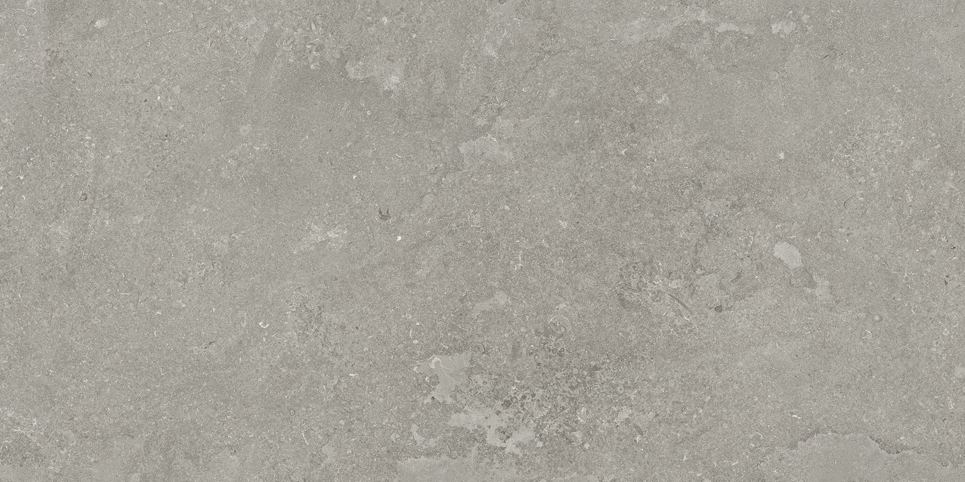 EcoStone 24x48 Matte Porcelain Tile in Cross-Cut Fossil