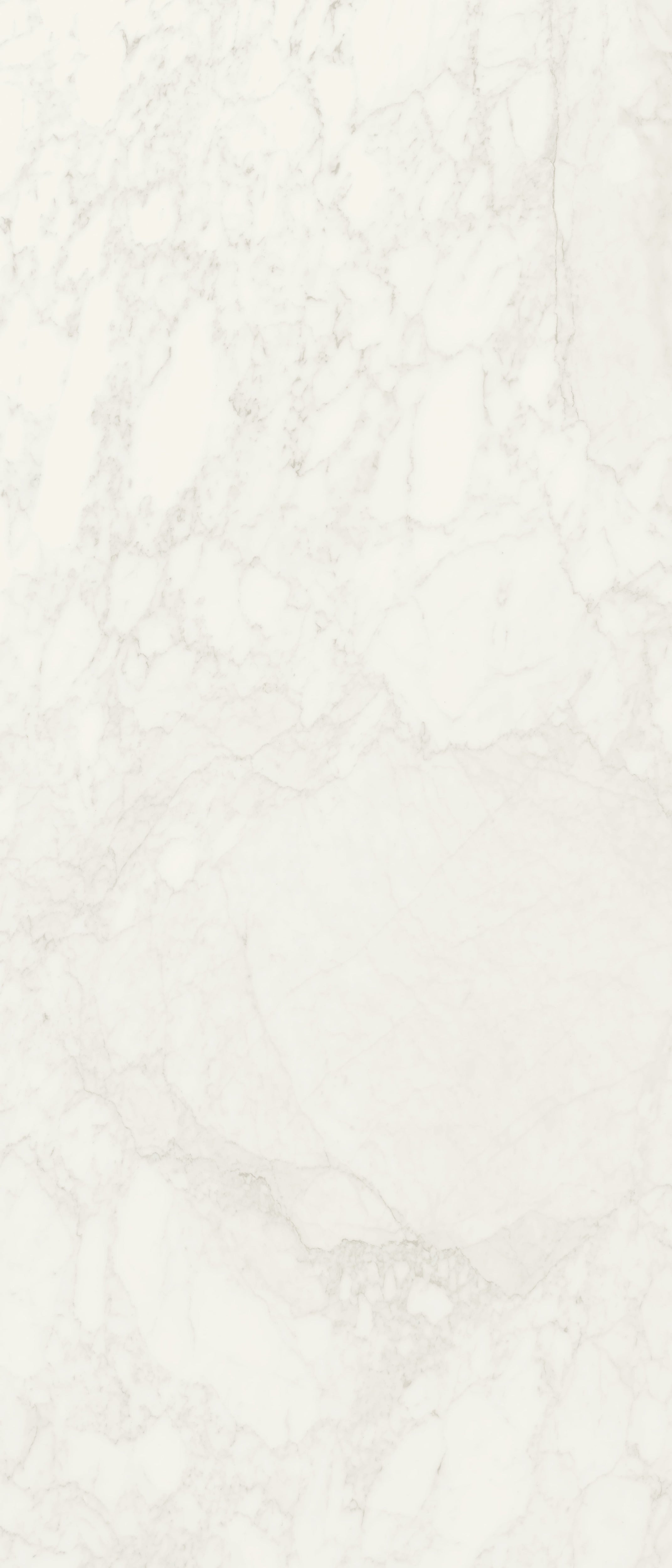 JEM 48x110 Polished Porcelain Tile in Adagio White