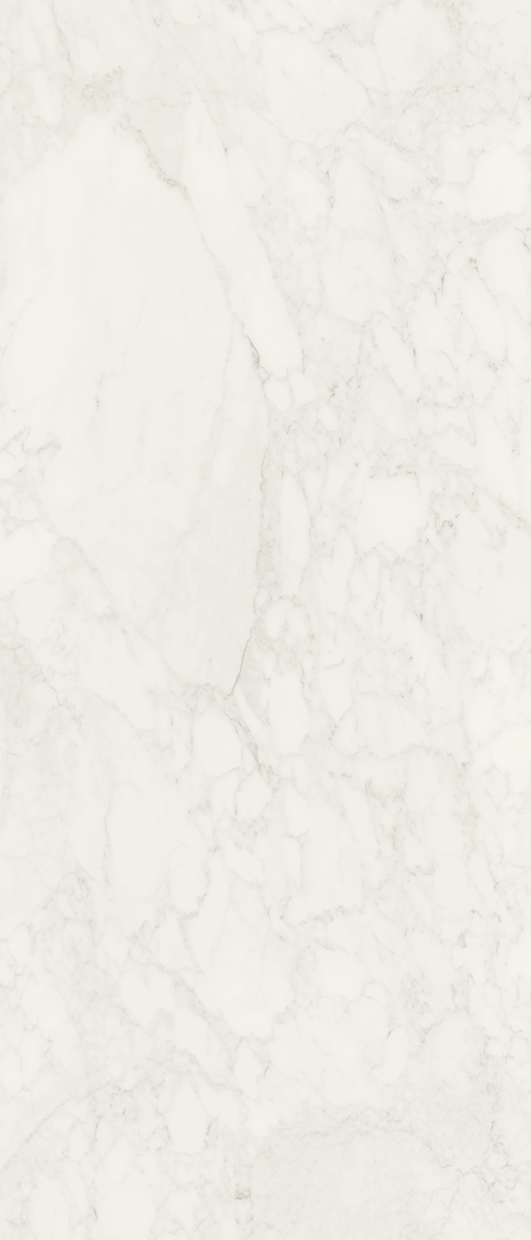 JEM 48x110 Polished Porcelain Tile in Adagio White