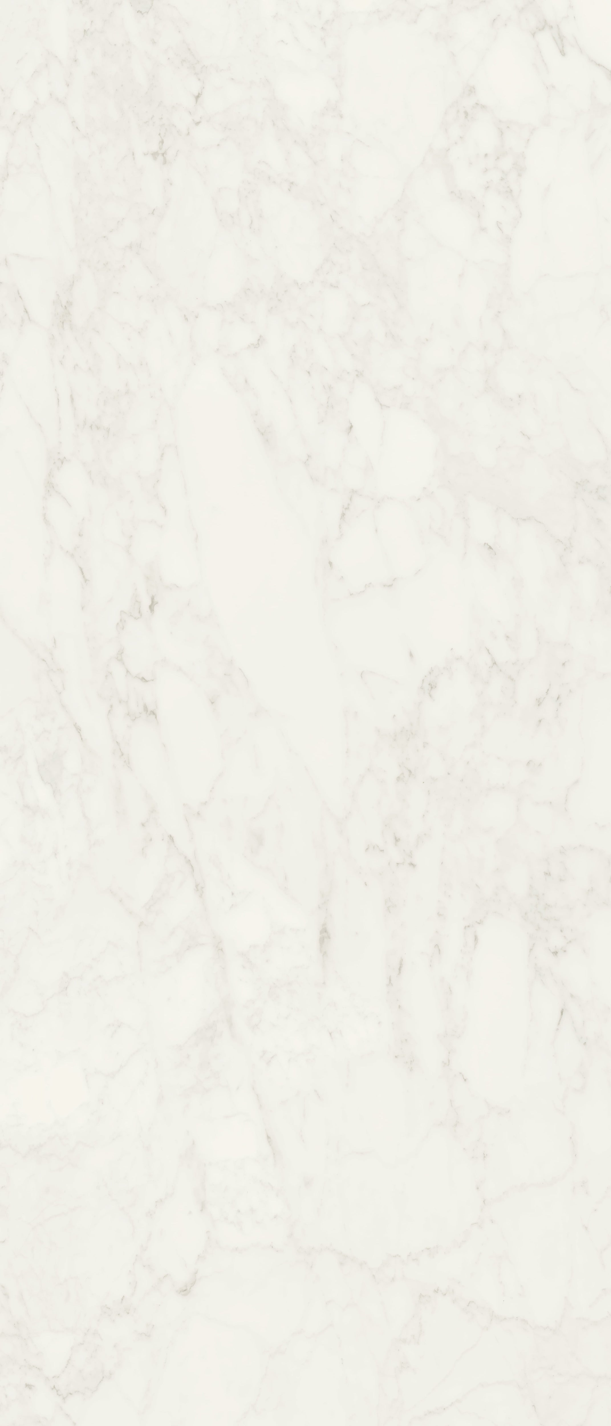 JEM 48x110 Polished Porcelain Tile in Adagio White