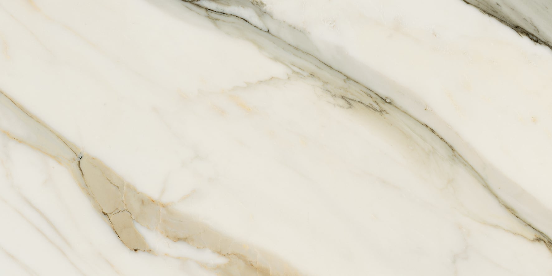 JEM 12x24 Matte Porcelain Tile in Aria Gold