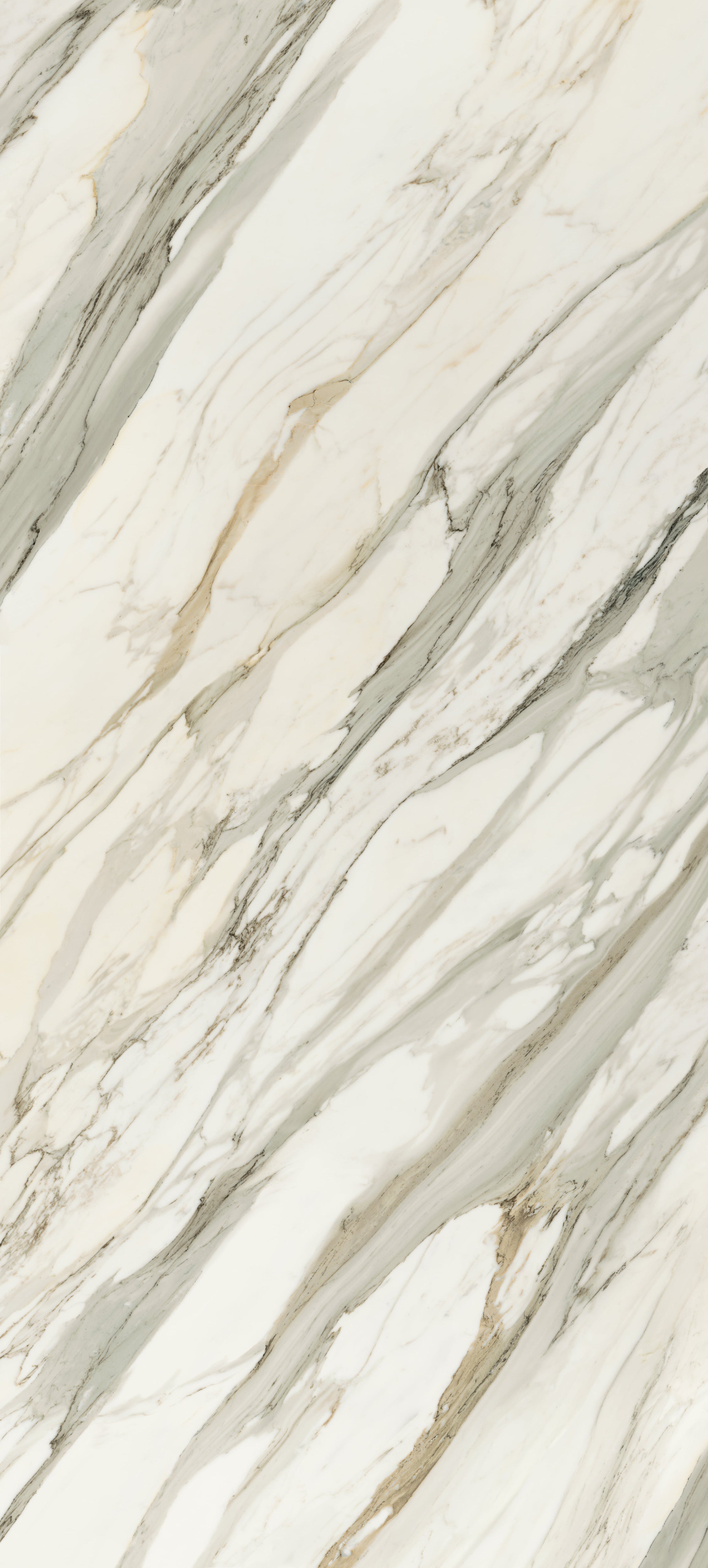 JEM 48x110 Polished Porcelain Tile in Aria Gold Bookmatch A