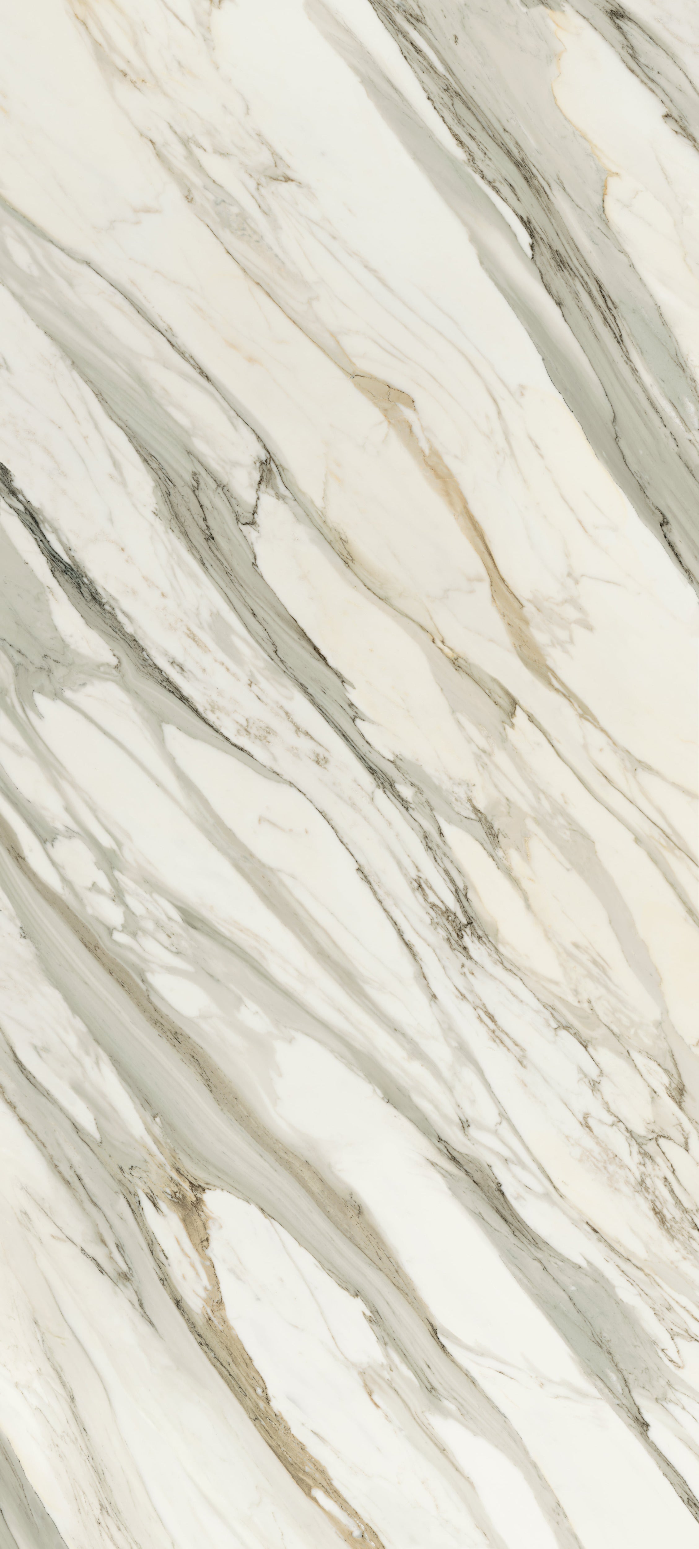 JEM 48x110 Polished Porcelain Tile in Aria Gold Bookmatch B