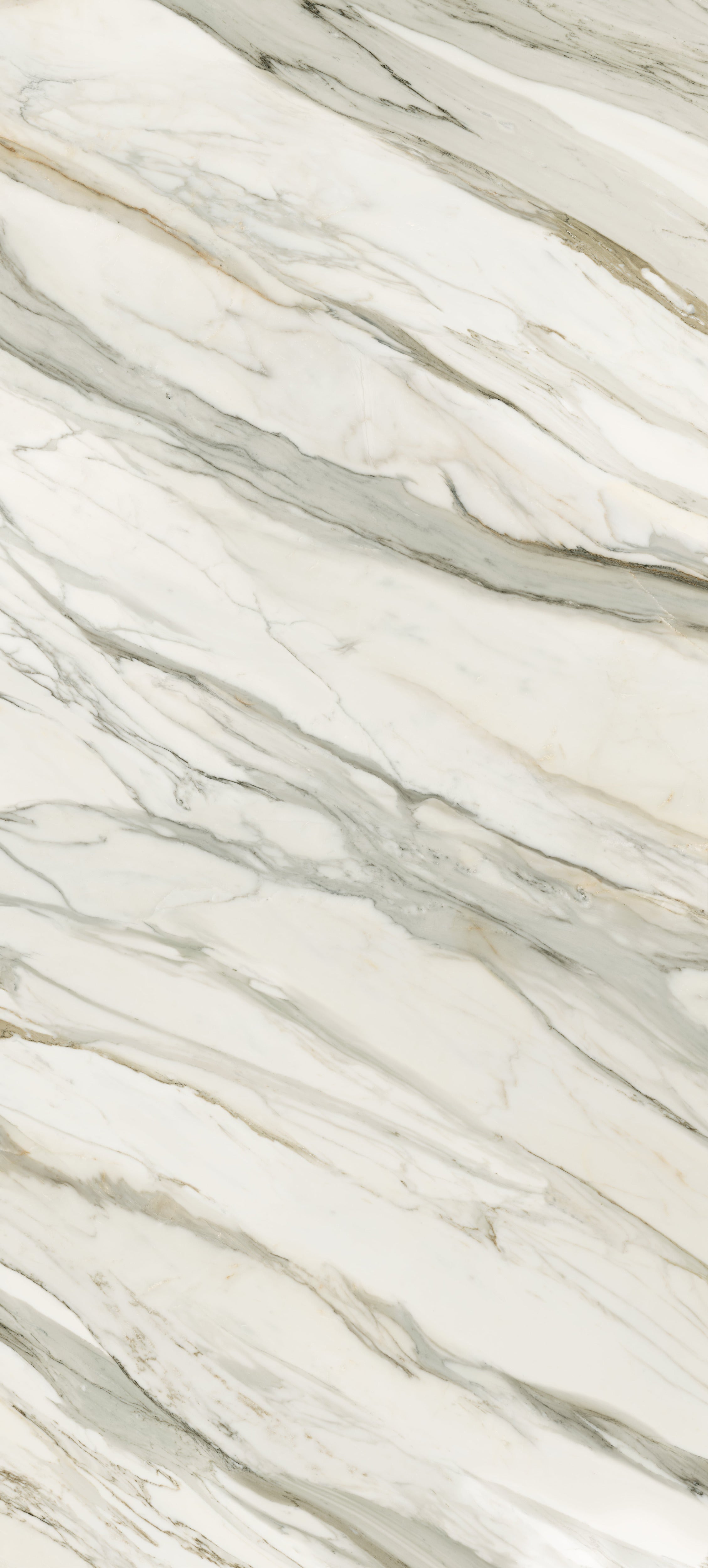 JEM 48x110 Matte Porcelain Tile in Aria Gold