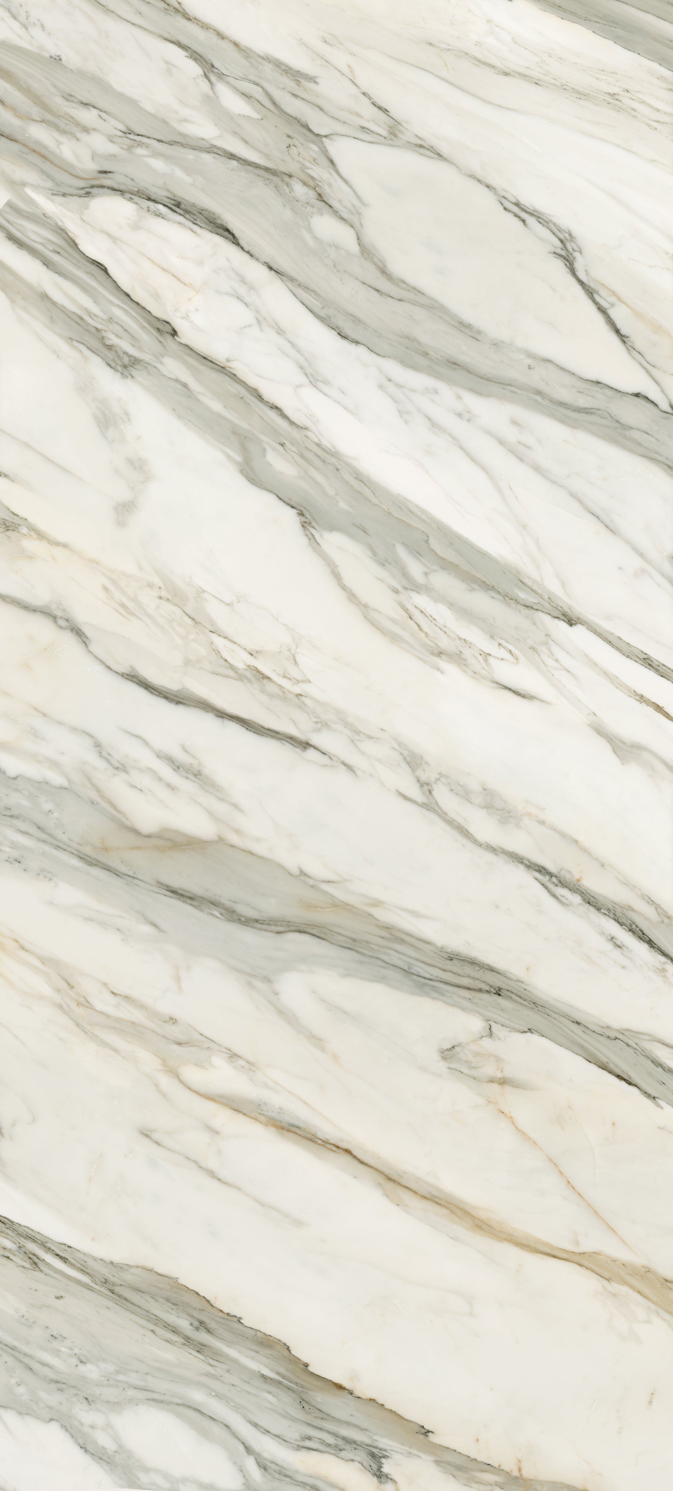 JEM 48x110 Matte Porcelain Tile in Aria Gold