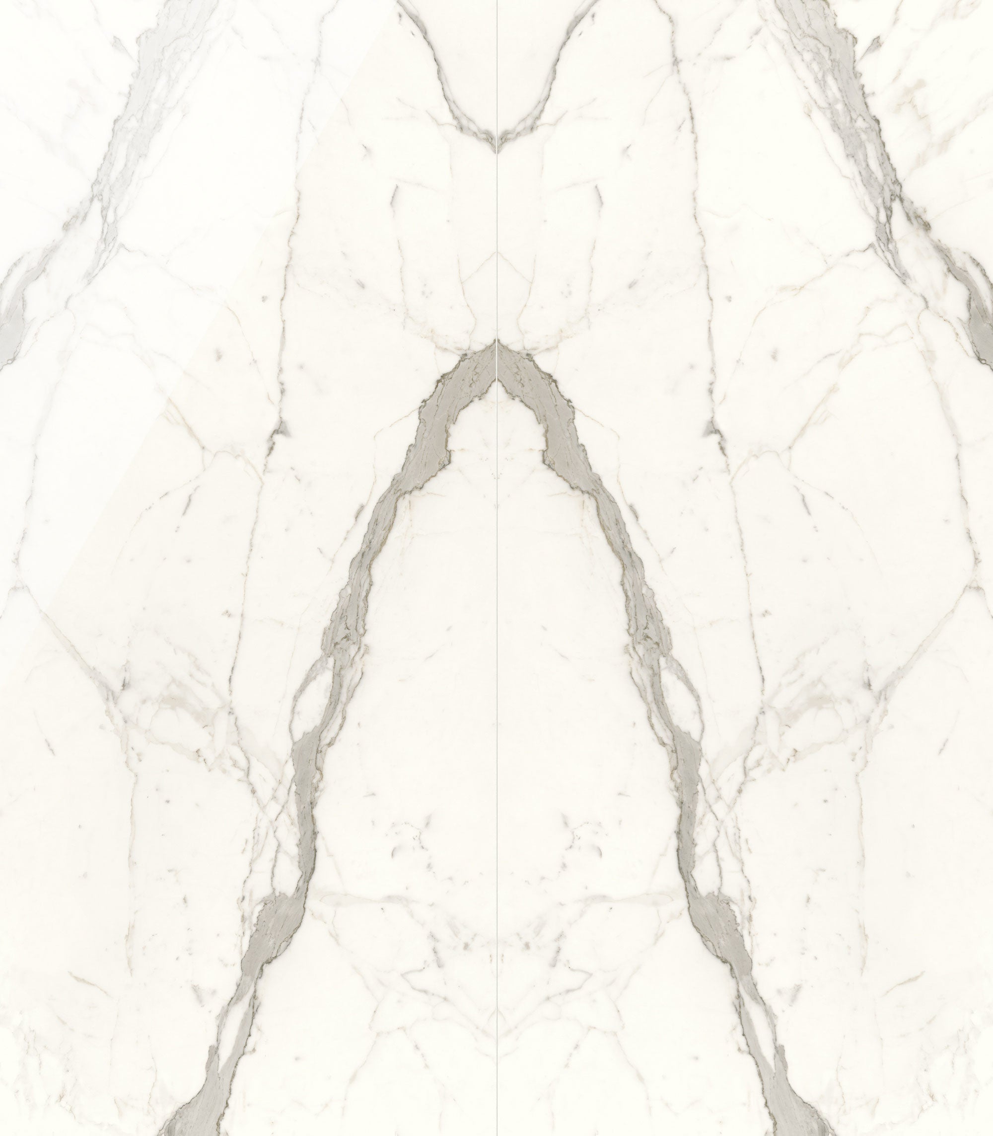 JEM 48x110 Polished Porcelain Tile in Capriccio Grey Bookmatch B