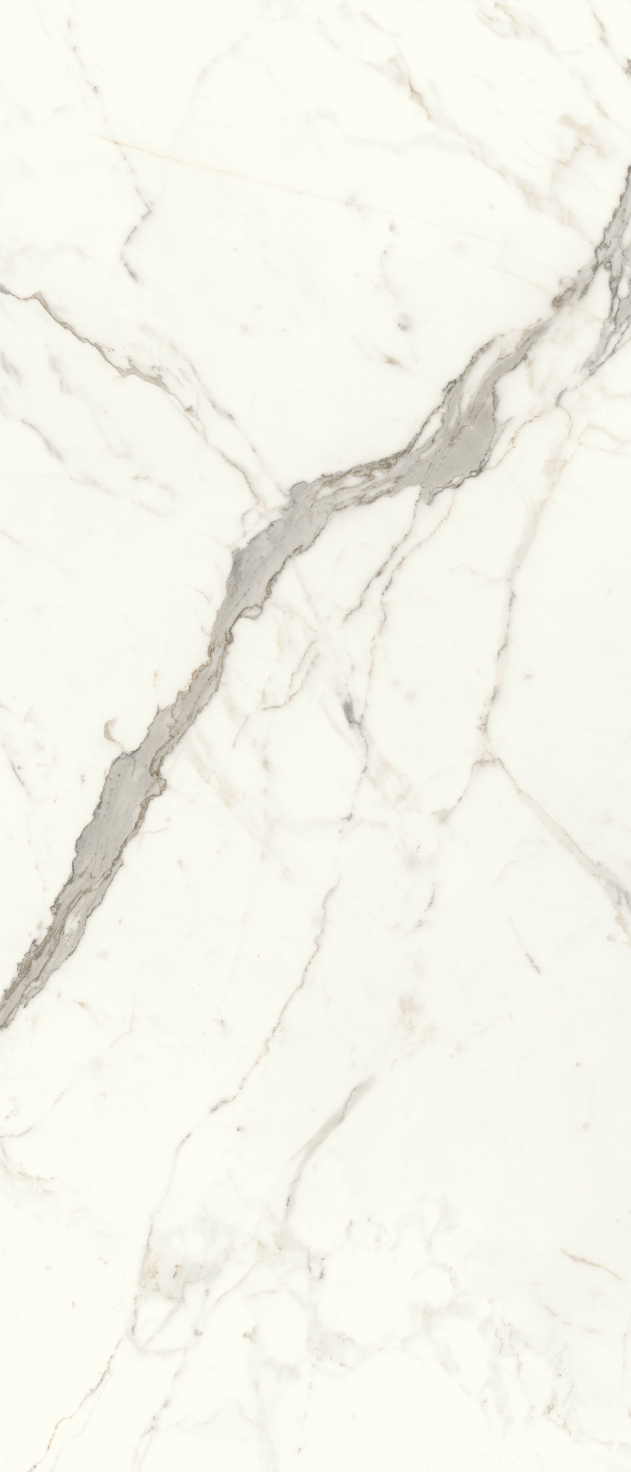 JEM 48x110 Polished Porcelain Tile in Capriccio Grey