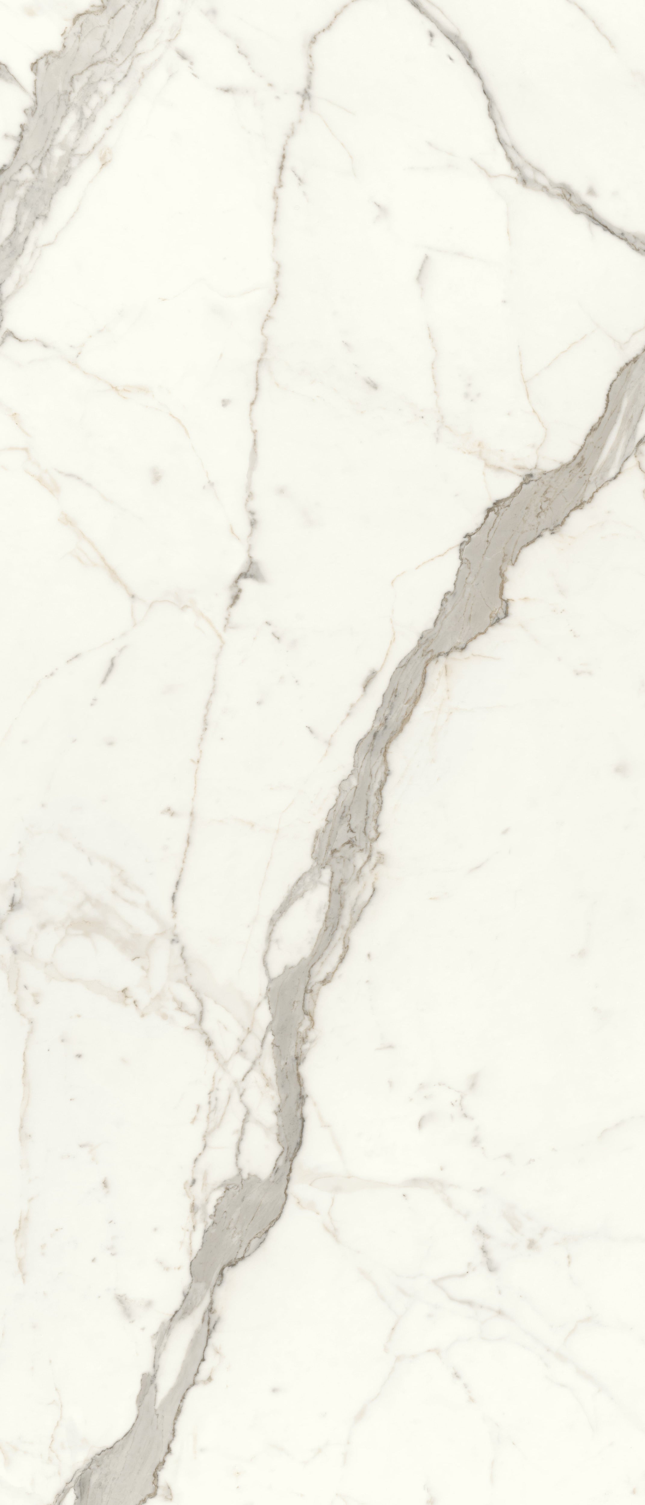 JEM 48x110 Polished Porcelain Tile in Capriccio Grey