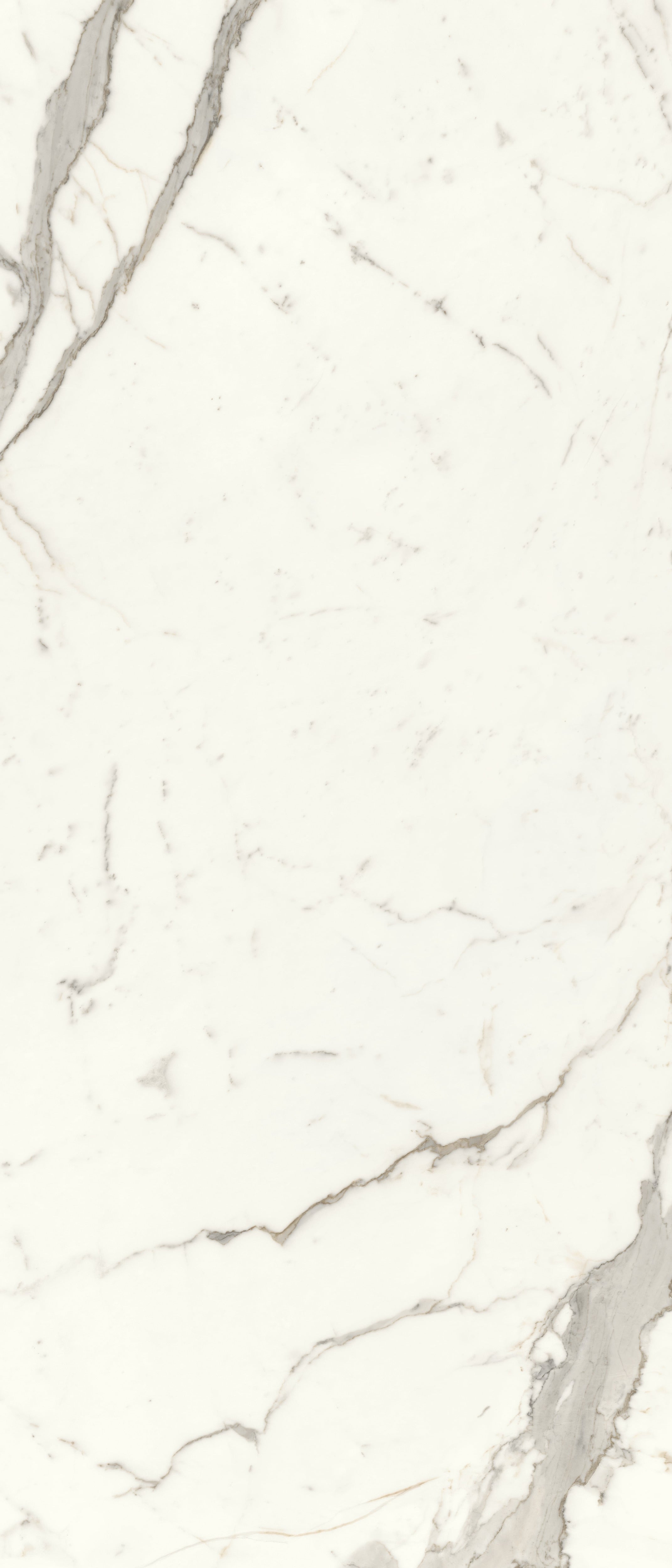 JEM 48x110 Polished Porcelain Tile in Capriccio Grey