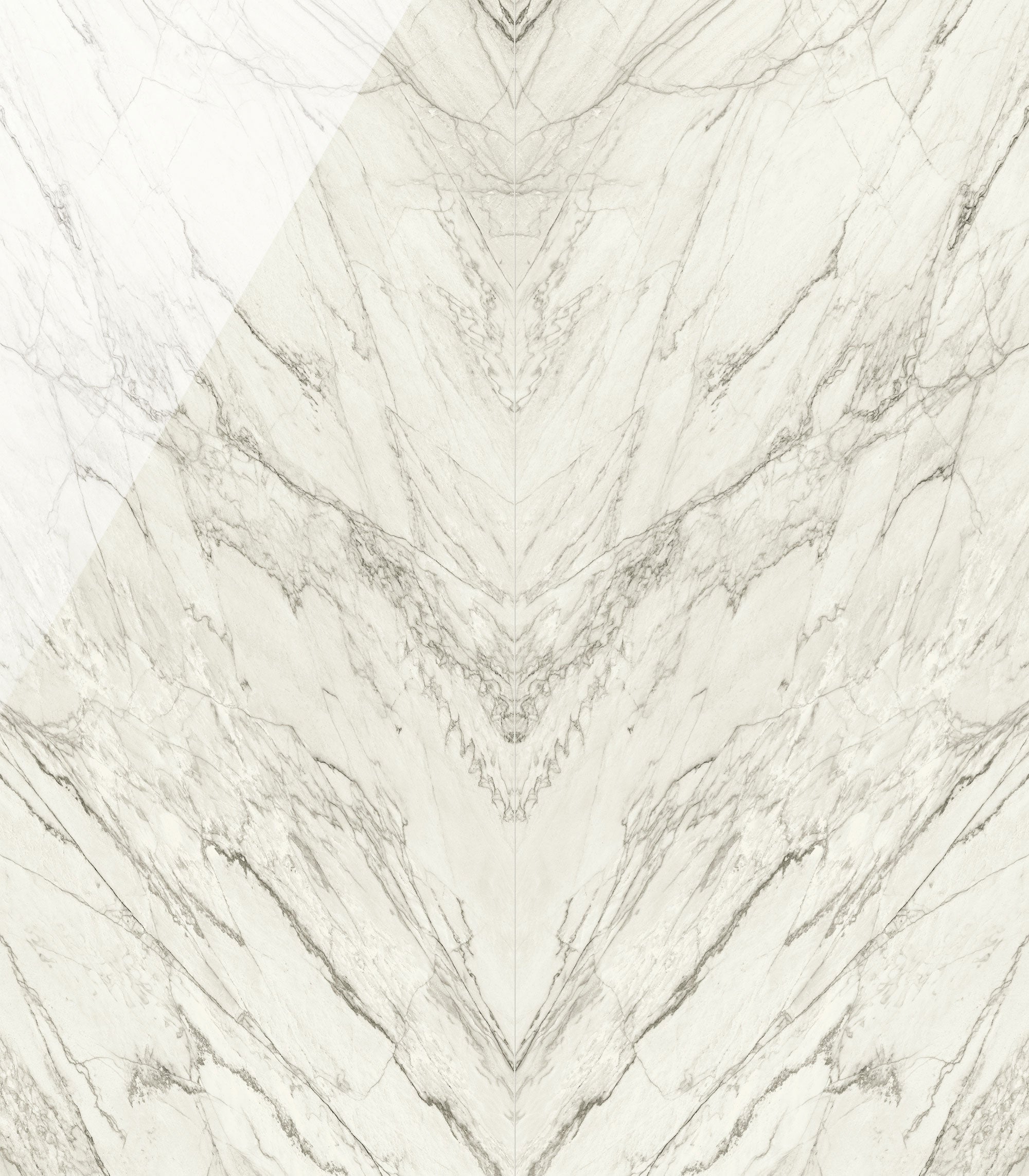 JEM 48x110 Polished Porcelain Tile in Forte White Bookmatch A