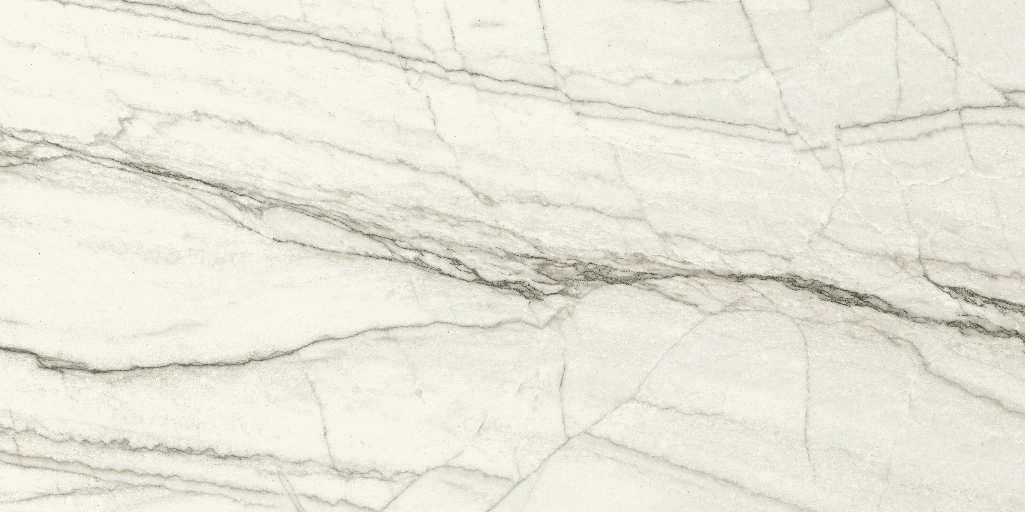 JEM 24x48 Matte Porcelain Tile in Forte White