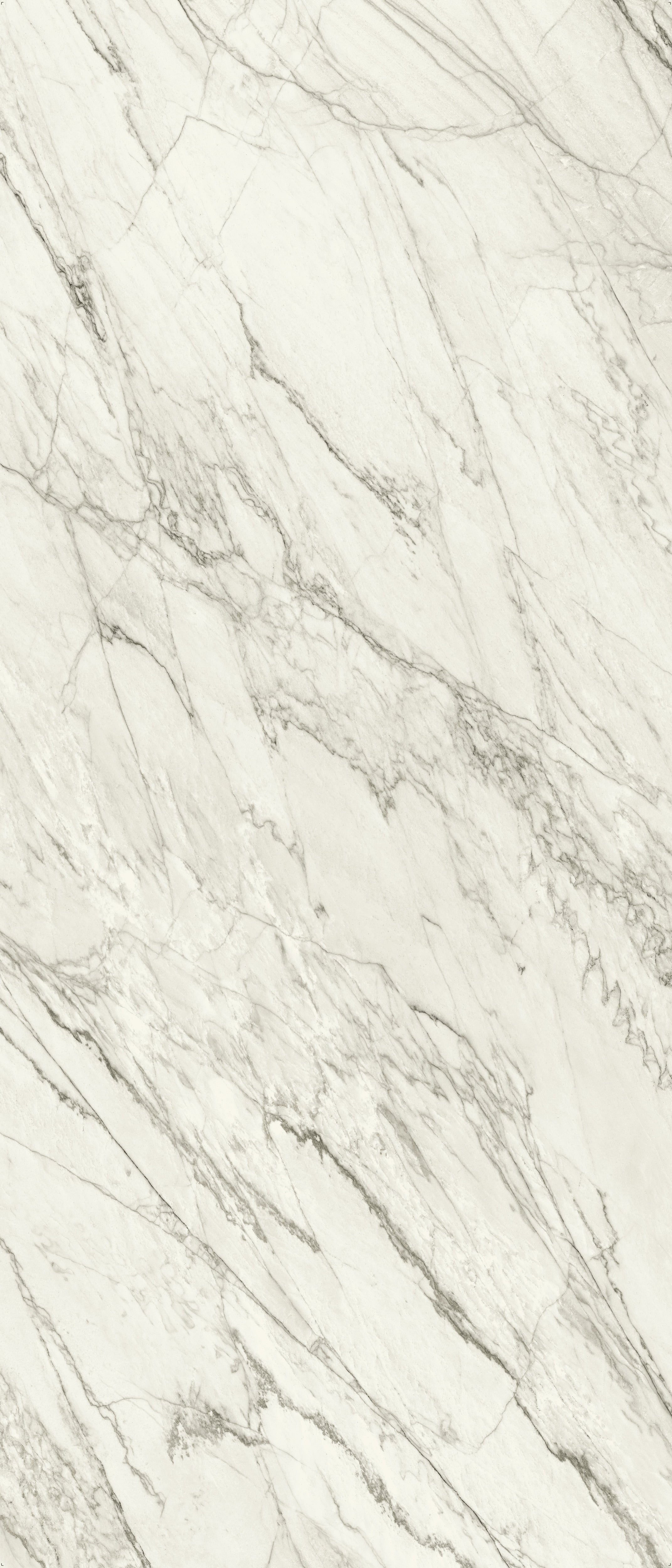 JEM 48x110 Polished Porcelain Tile in Forte White Bookmatch A