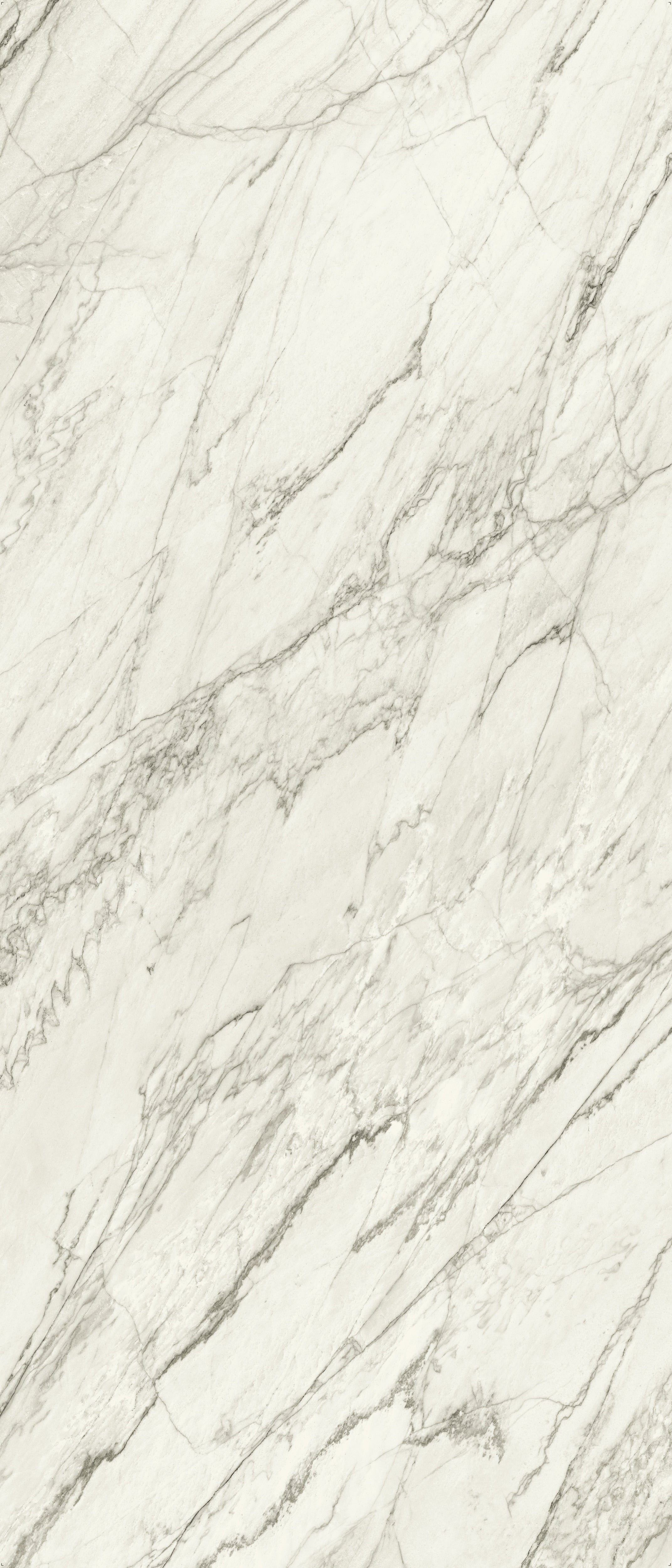 JEM 48x110 Polished Porcelain Tile in Forte White Bookmatch B