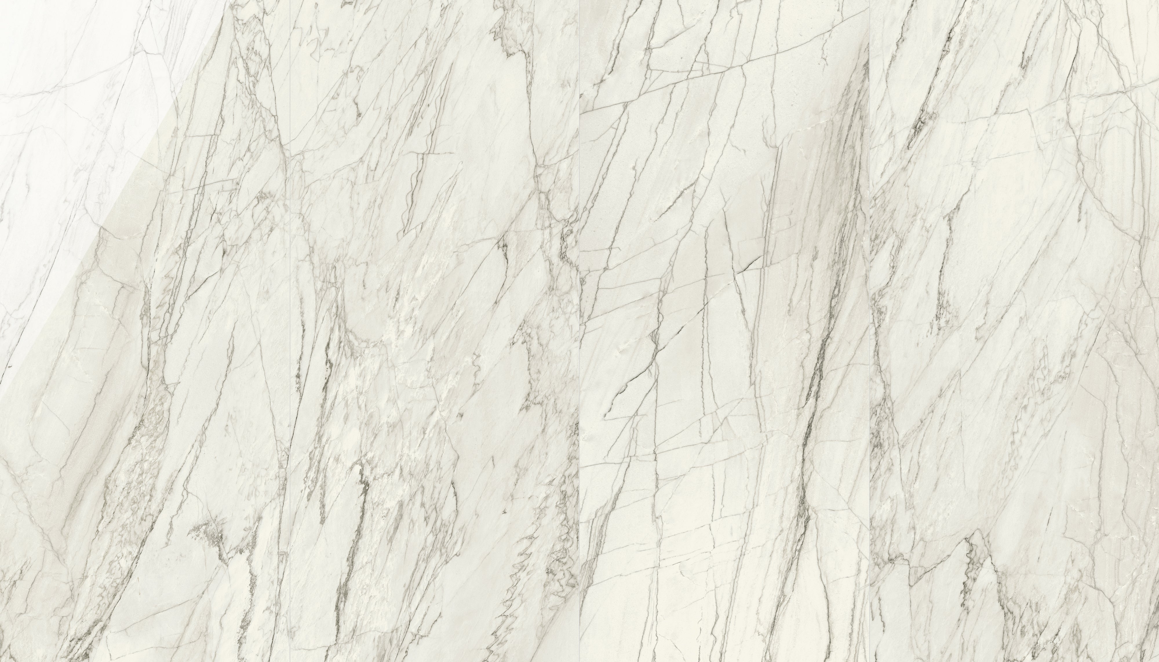 JEM 48x110 Polished Porcelain Tile in Forte White
