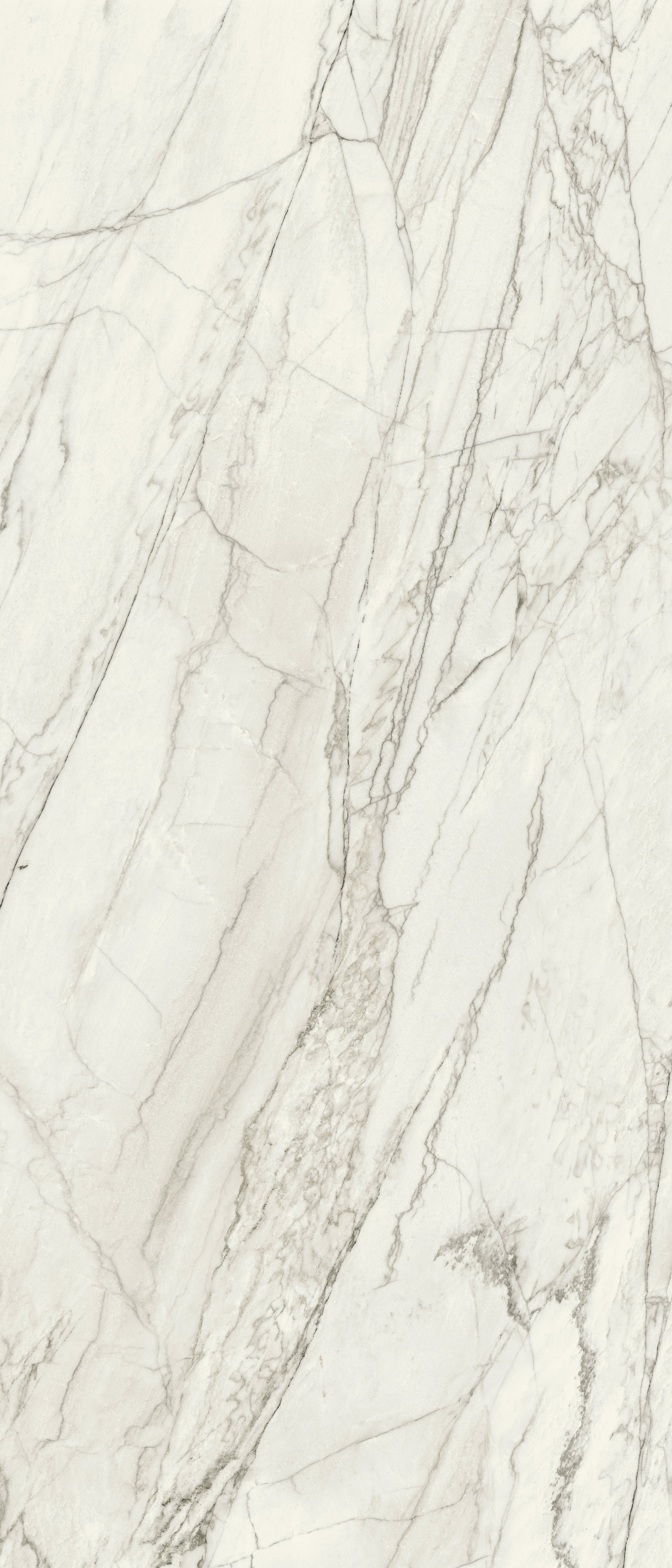 JEM 48x110 Polished Porcelain Tile in Forte White
