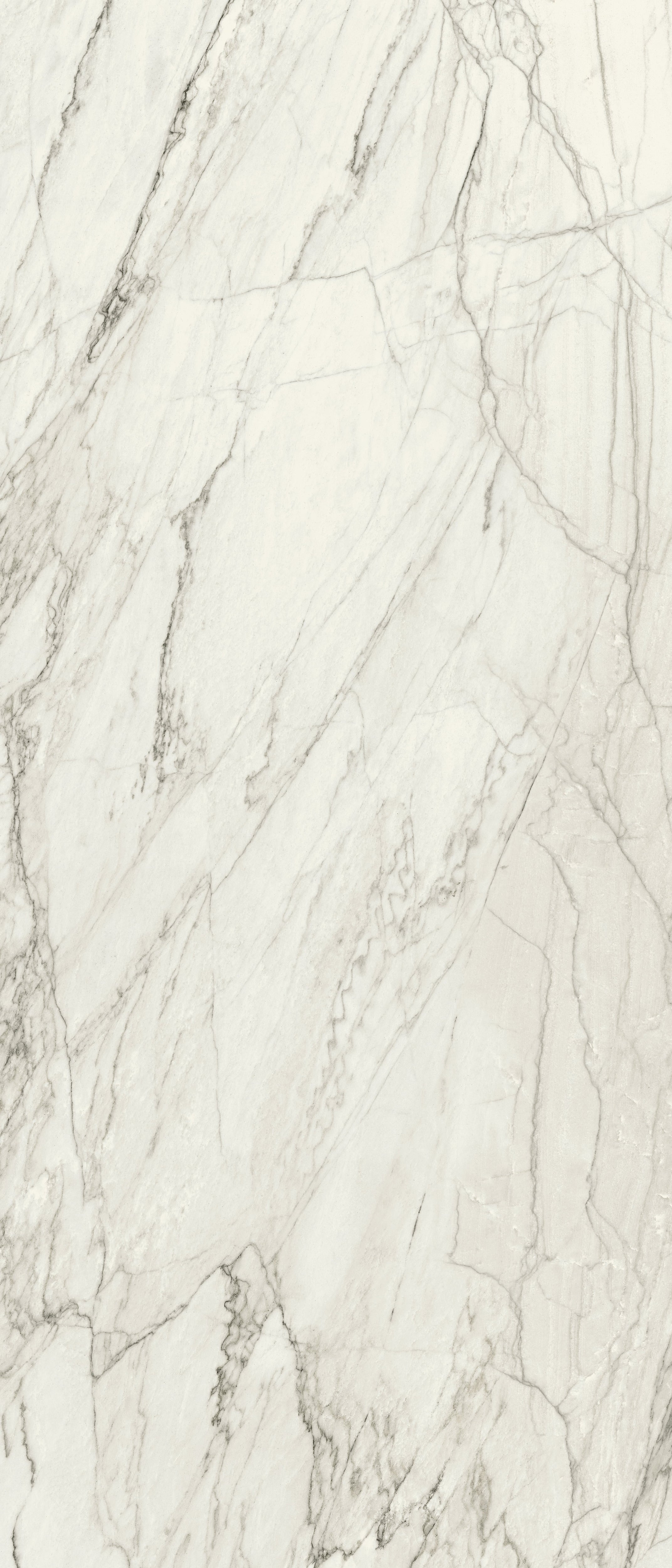 JEM 48x110 Polished Porcelain Tile in Forte White