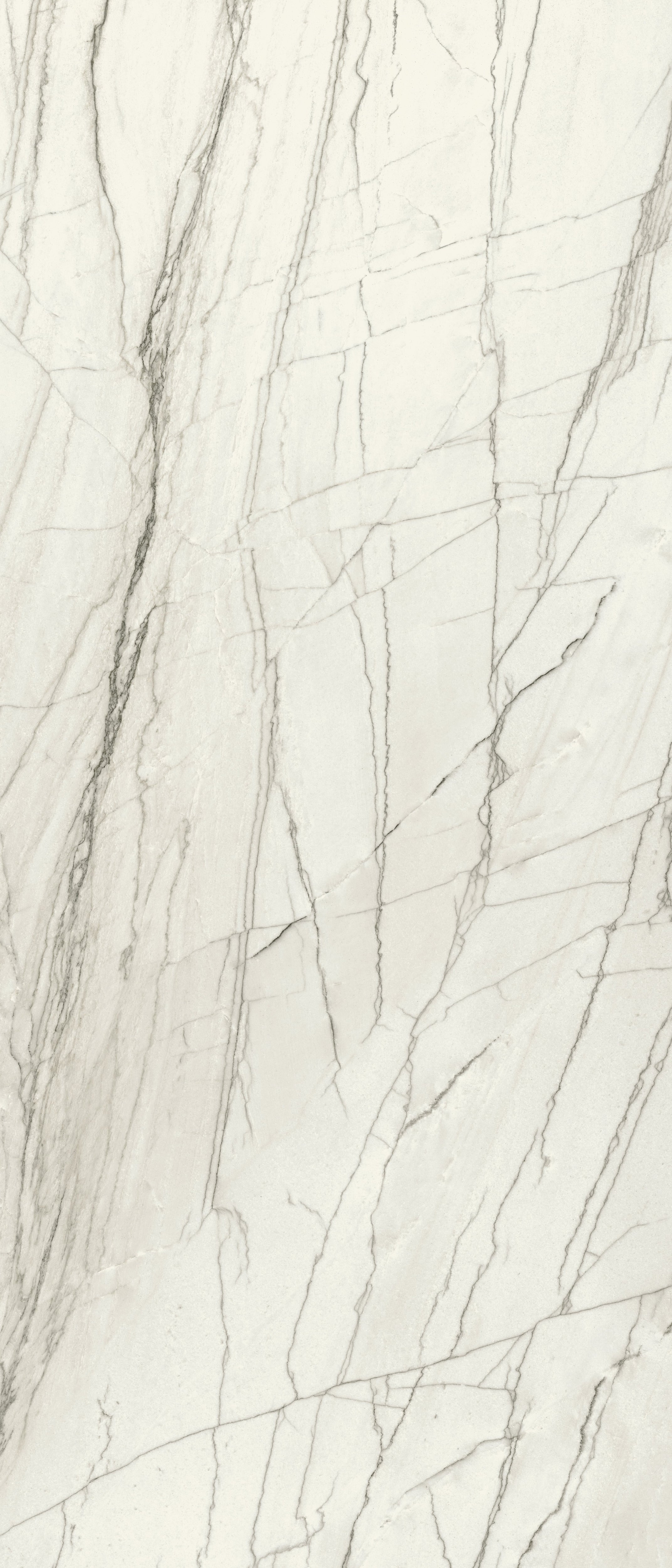 JEM 48x110 Polished Porcelain Tile in Forte White