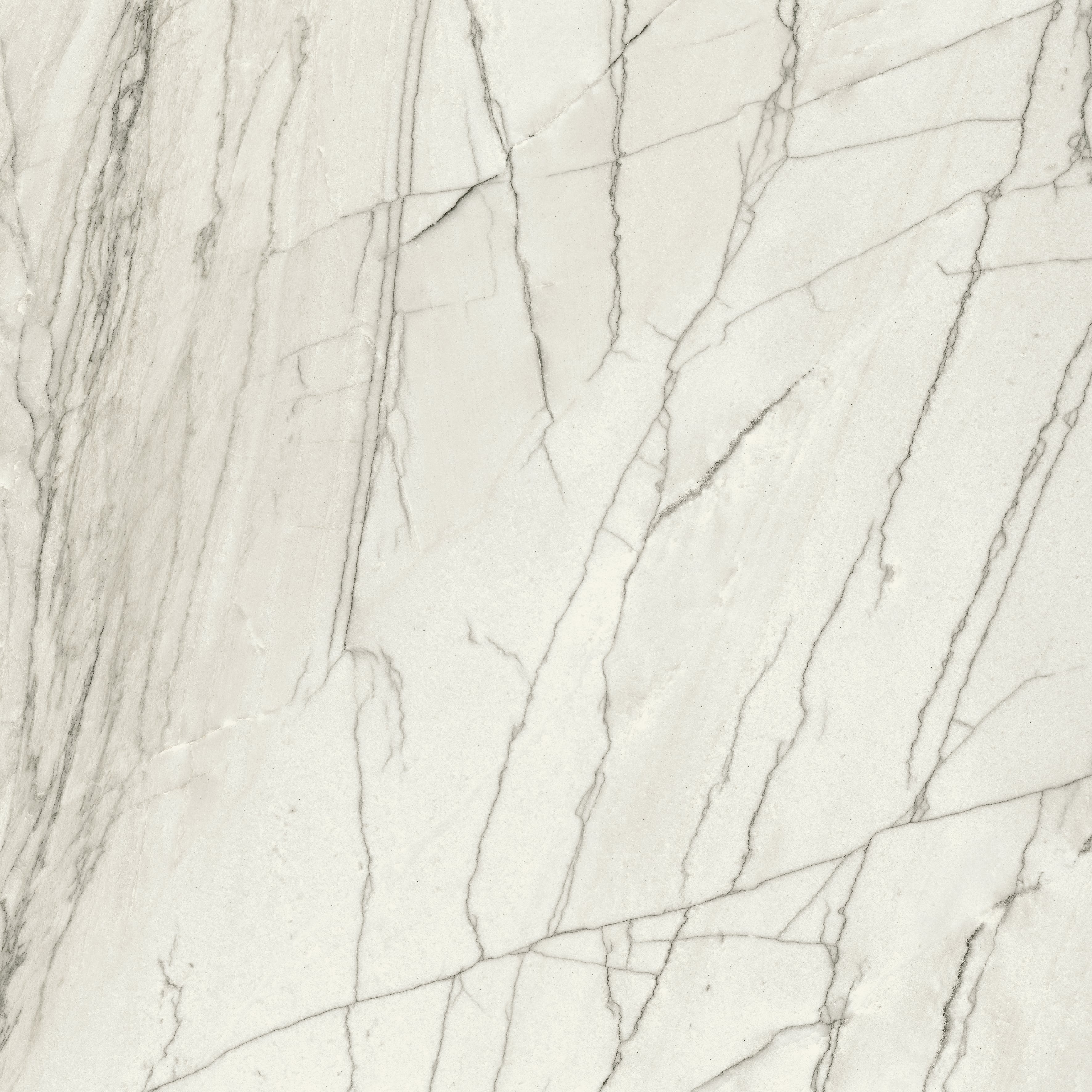 JEM 48x48 Polished Porcelain Tile in Forte White