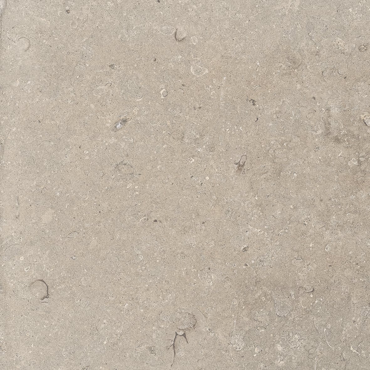 Lith 24x24 Grip Porcelain 2CM Paver Tile in Antique Cream