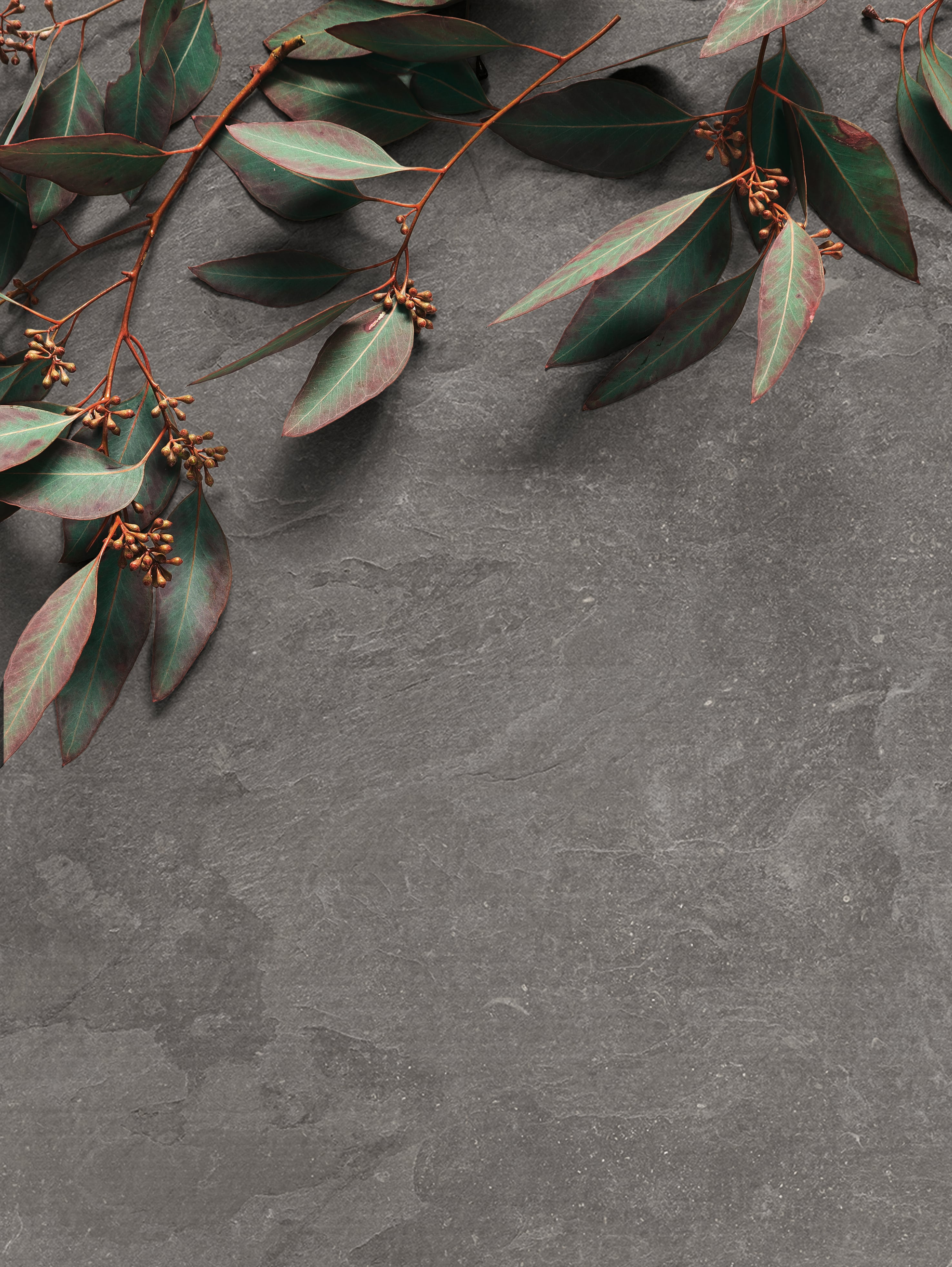 Lith 24x48 Matte Porcelain Tile in Heirloom Blue