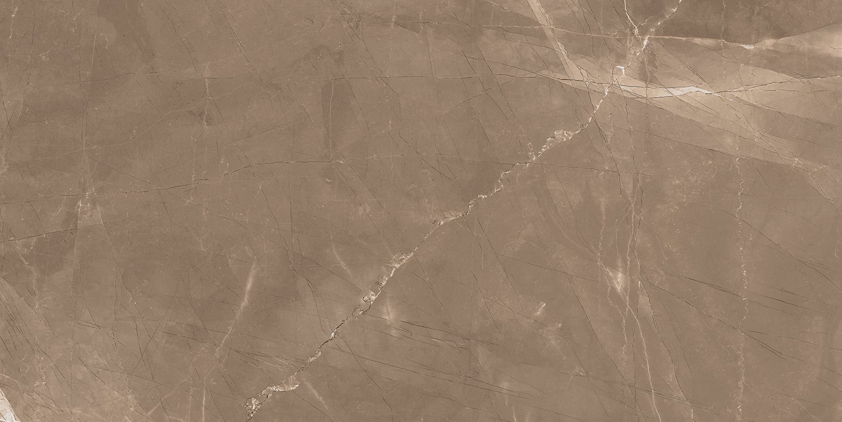 Luxury 24x48 Matte Porcelain Tile in Amani Bronze