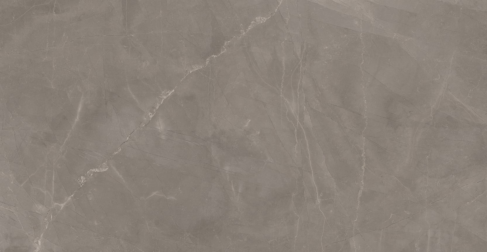 Luxury 24x48 Matte Porcelain Tile in Amani Grey