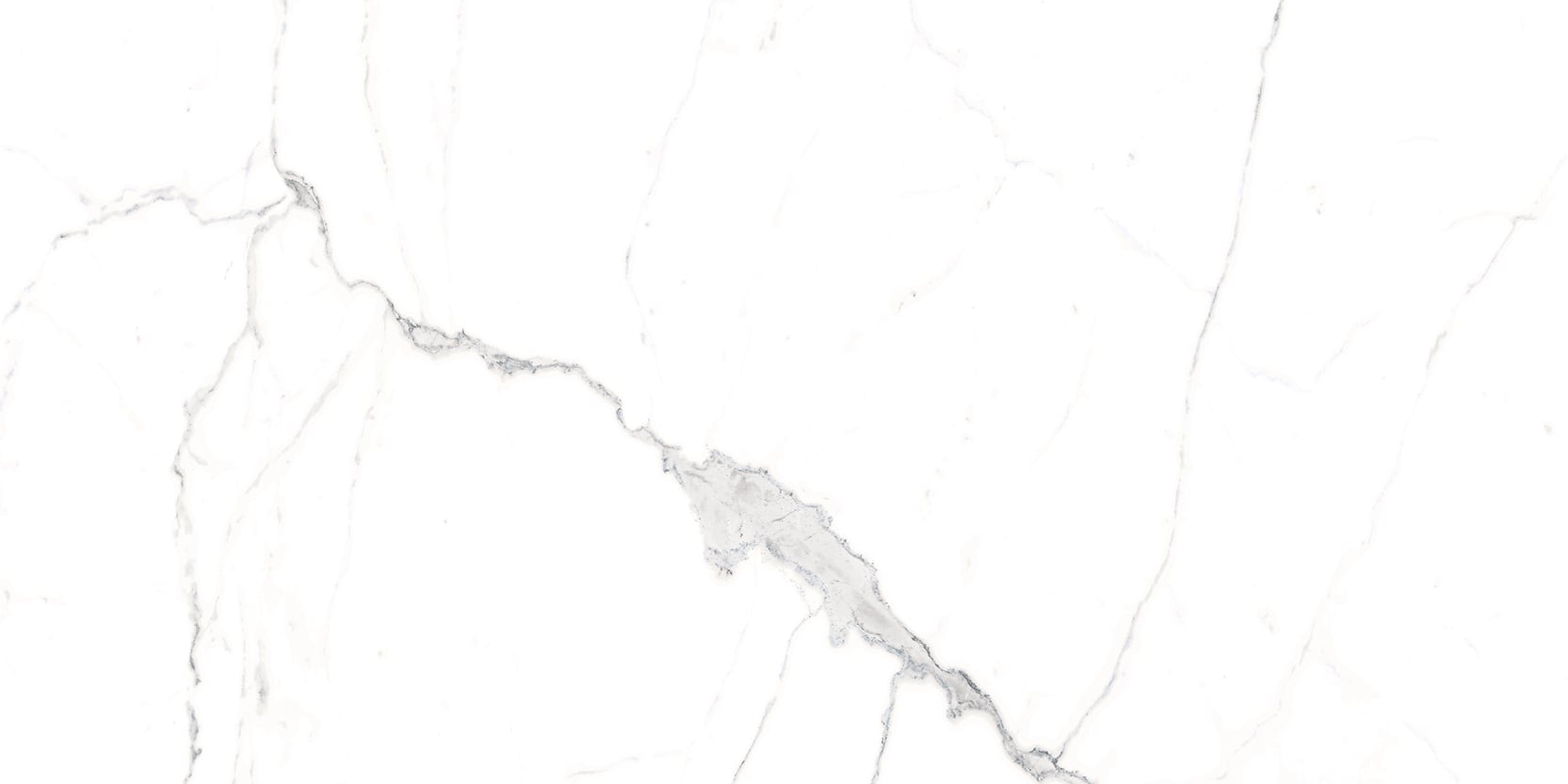 Luxury 24x48 Matte Porcelain Tile in Calacatta