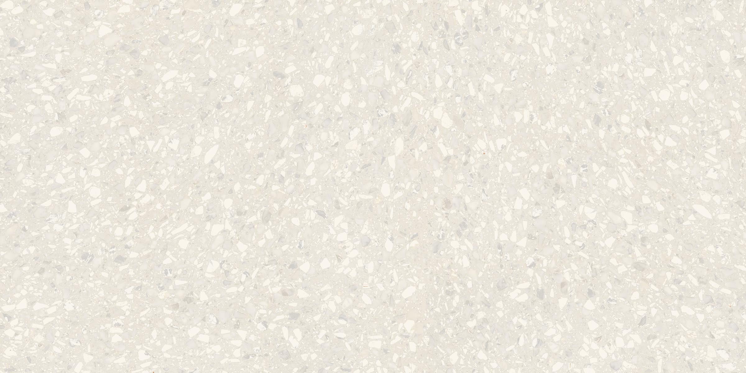 Terrazzo Allure™ 24x48 Matte Porcelain Tile in Eggshell