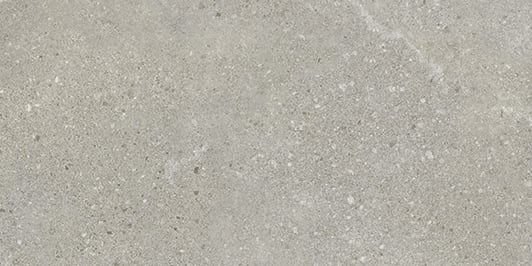 Tycoon 12x24 Matte Porcelain Tile in Smoke