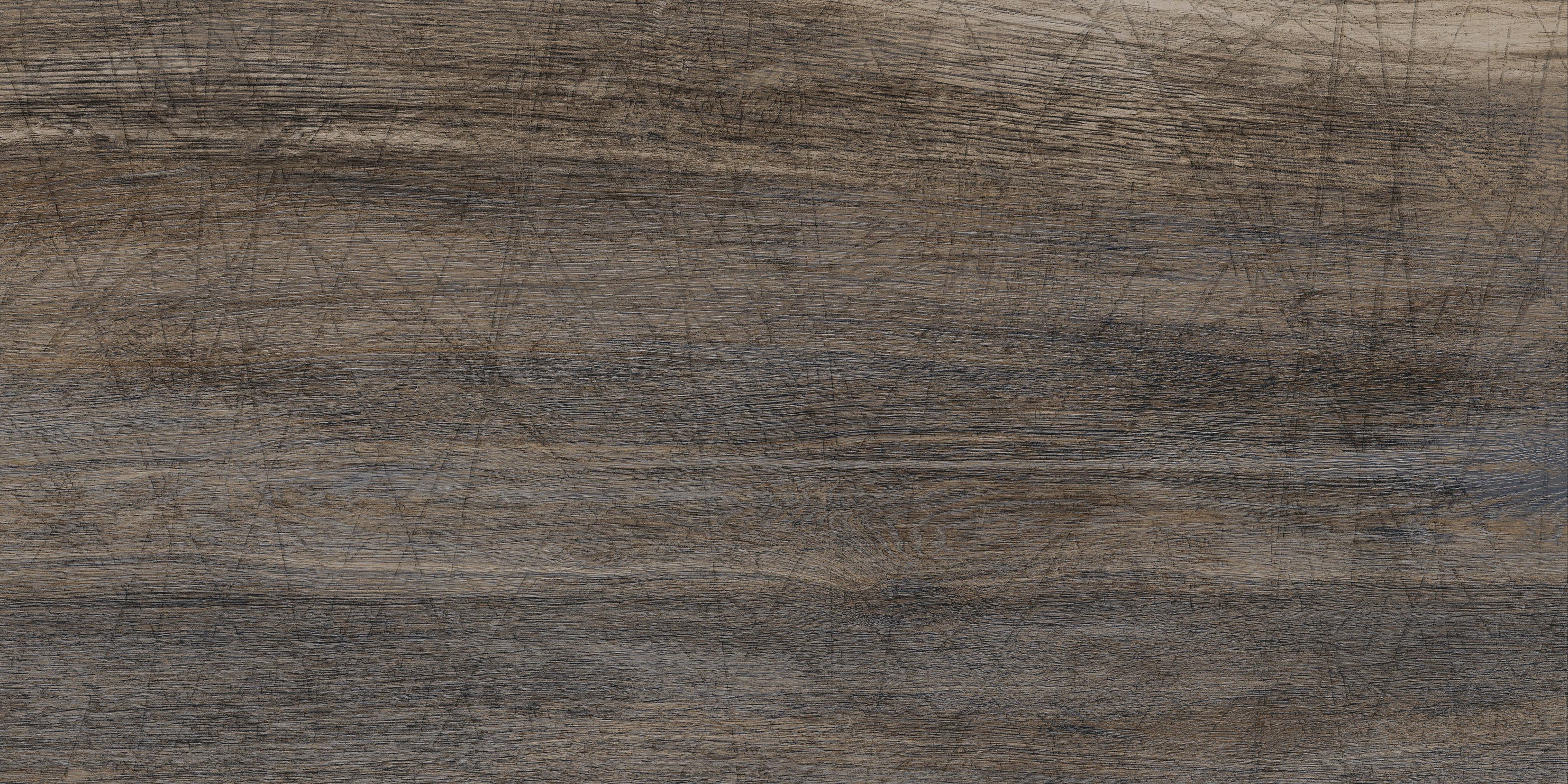 Untamed™ 24x48 Matte Porcelain Tile in Drift Plank