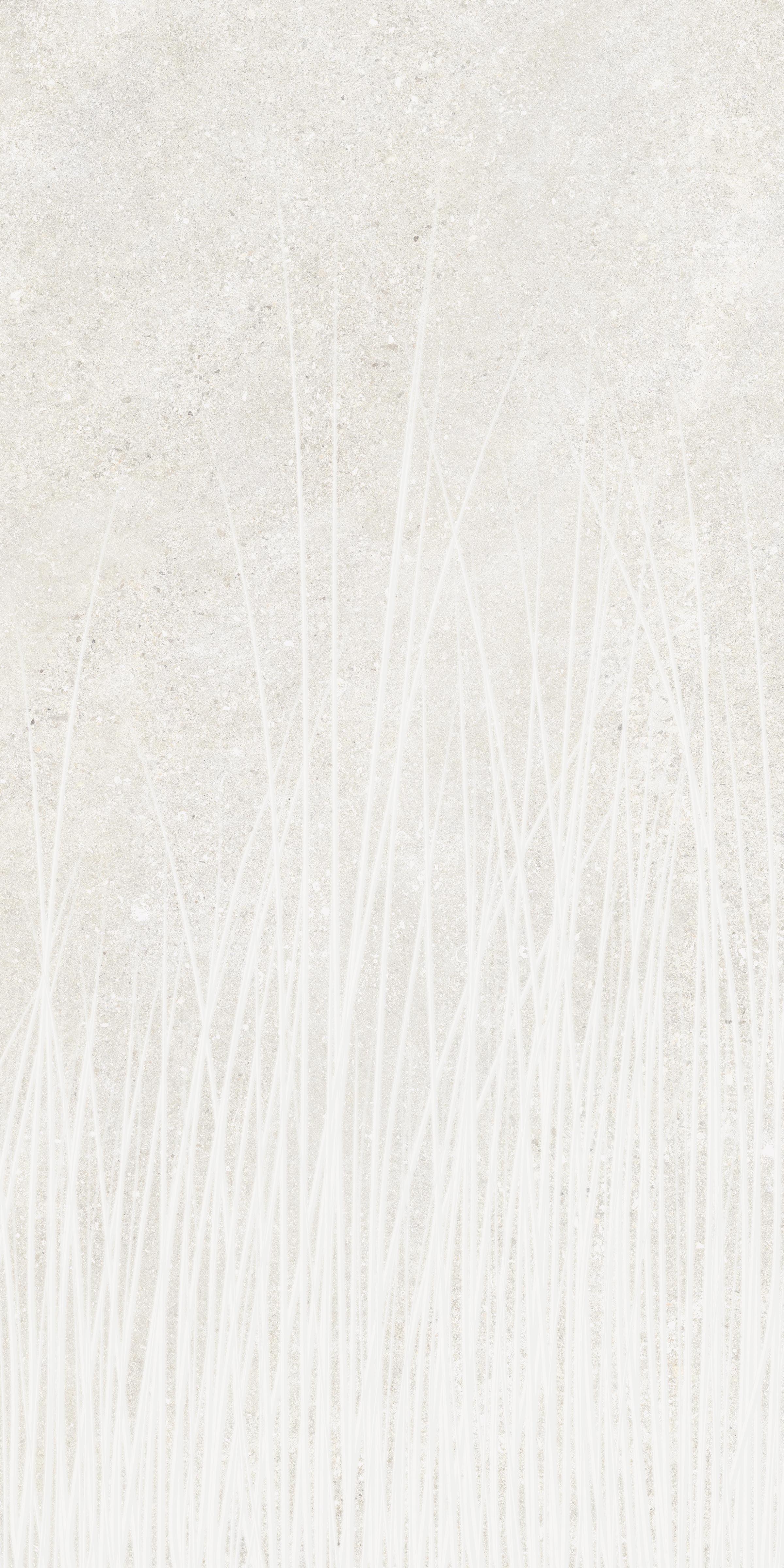 Untamed™ 24x48 Matte Porcelain Tile in Flourish White