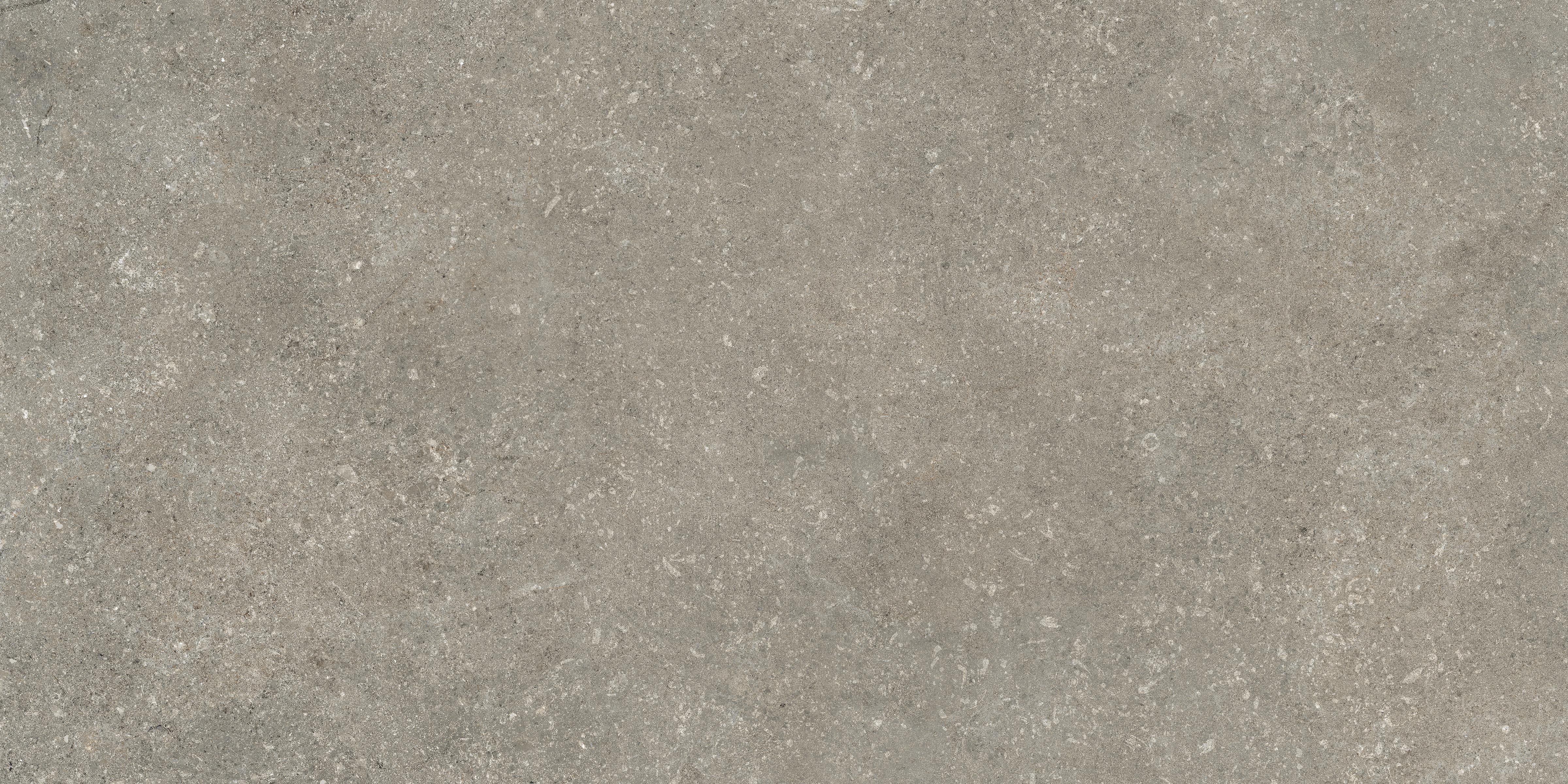 Untamed™ 12x24 Matte Porcelain Tile in Wander Ash