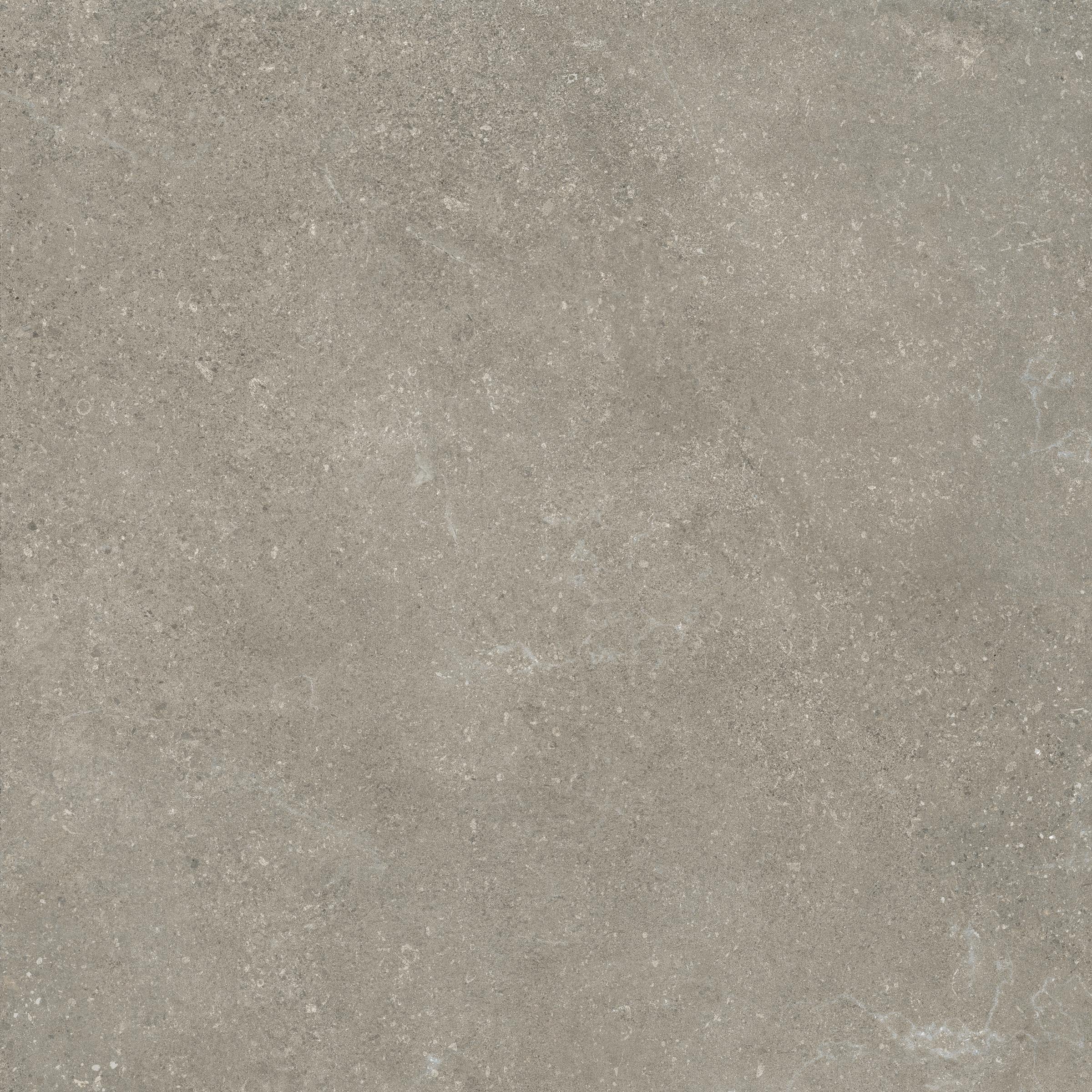 Untamed™ 24x24 Grip Porcelain 2CM Paver in Wander Ash