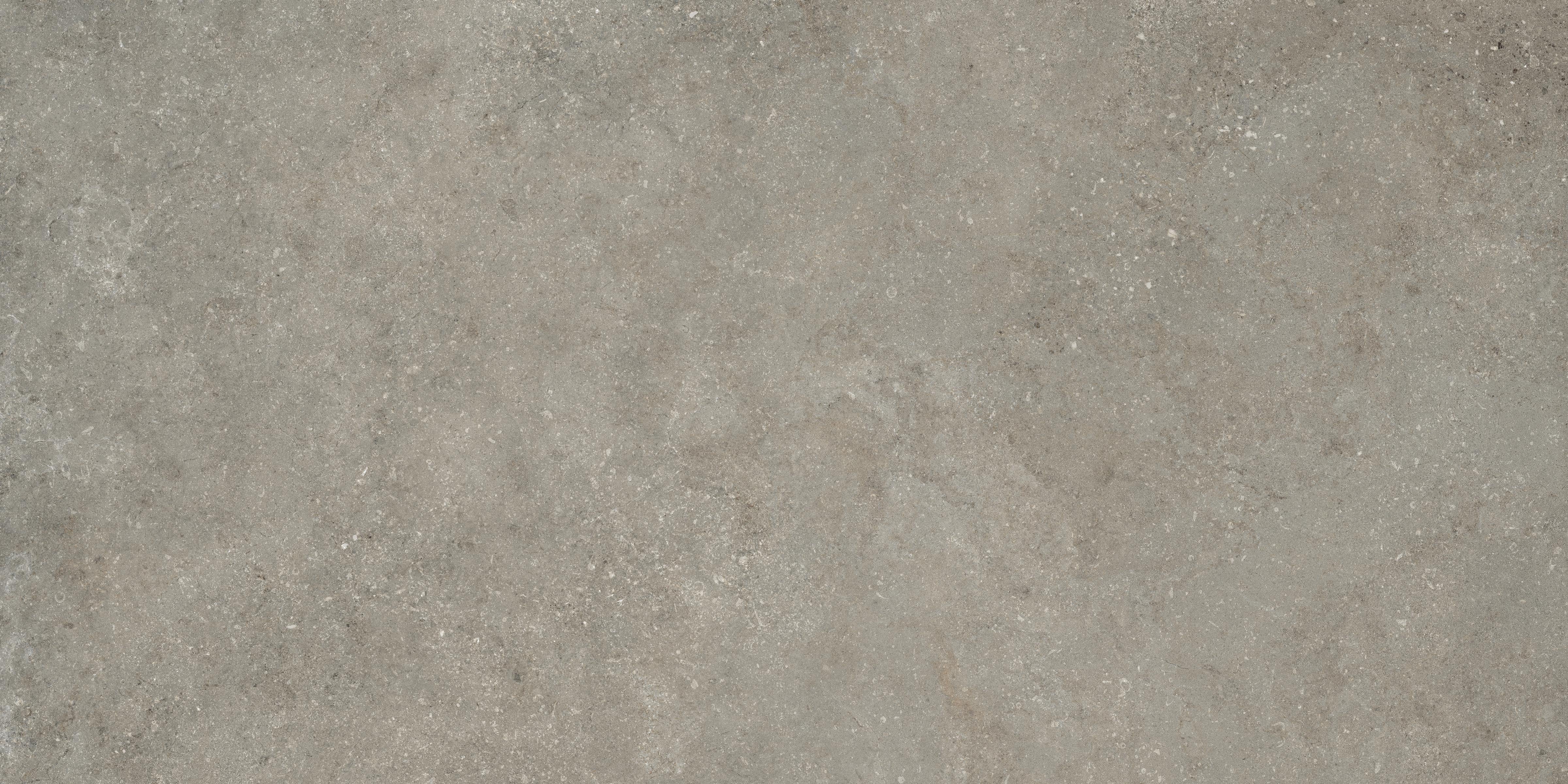 Untamed™ 24x48 Matte Porcelain Tile in Wander Ash