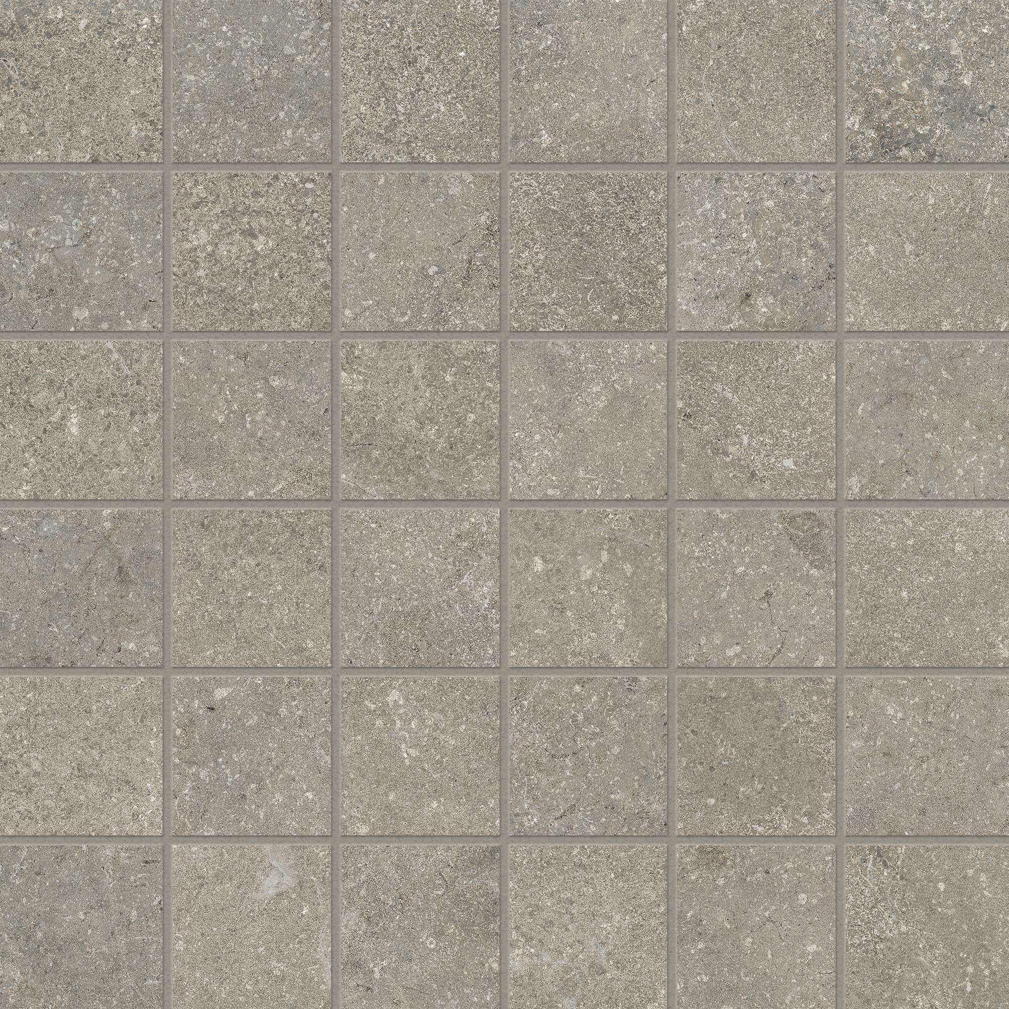 Untamed™ 2x2 Matte Porcelain Mesh Mosaic Tile in Wander Ash