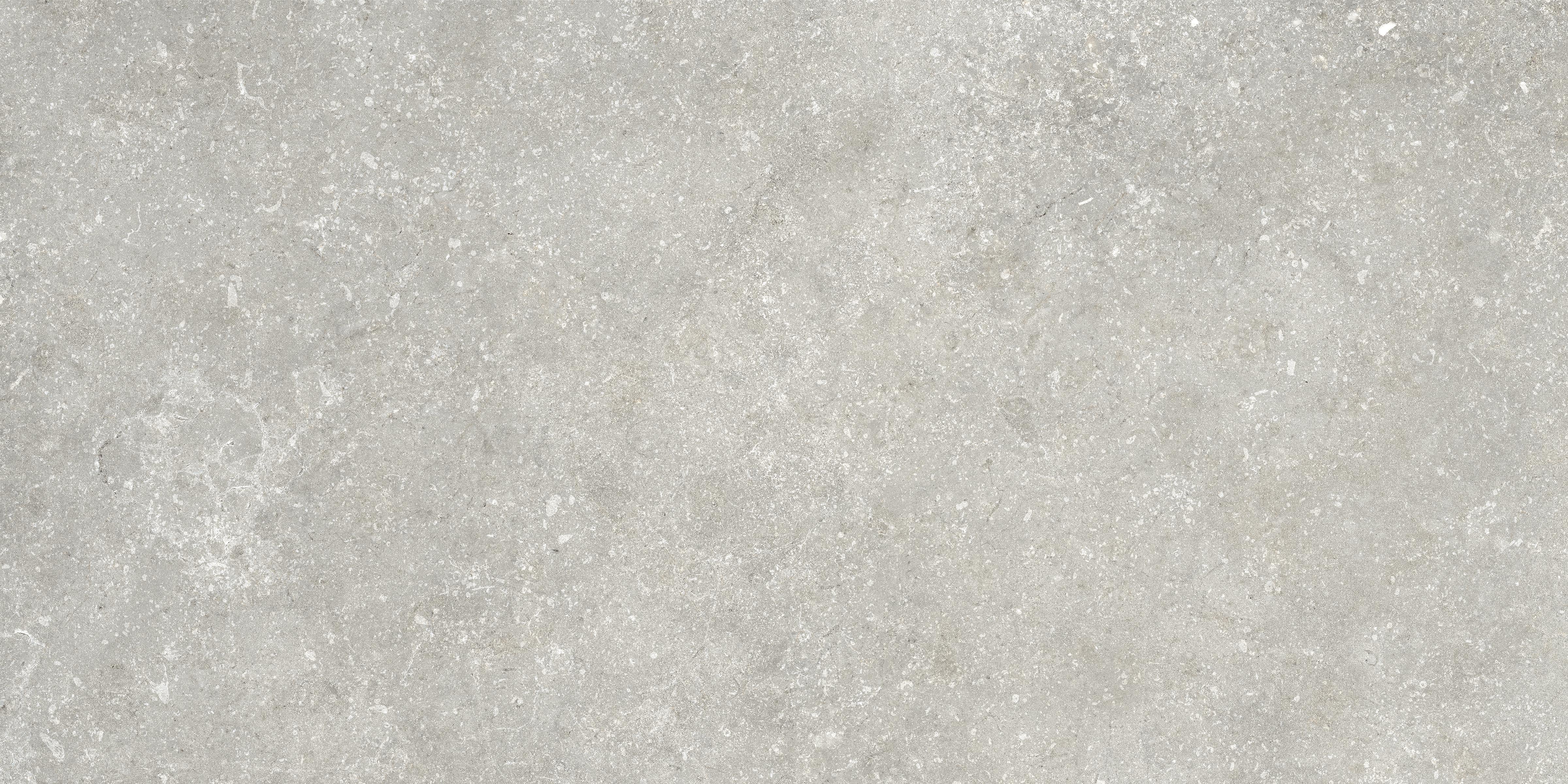 Untamed™ 12x24 Matte Porcelain Tile in Wander Cool