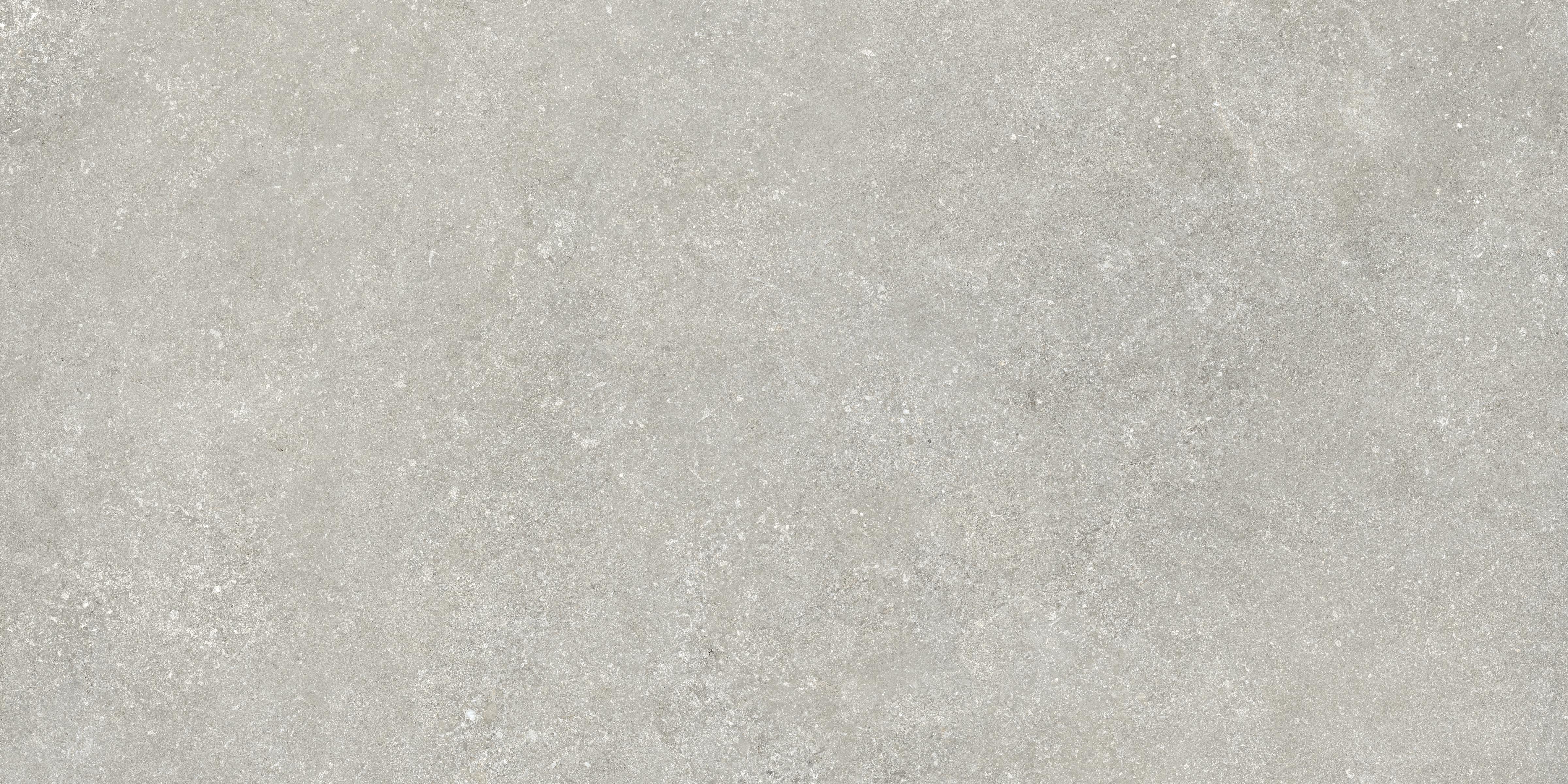 Untamed™ 24x48 Matte Porcelain Tile in Wander Cool