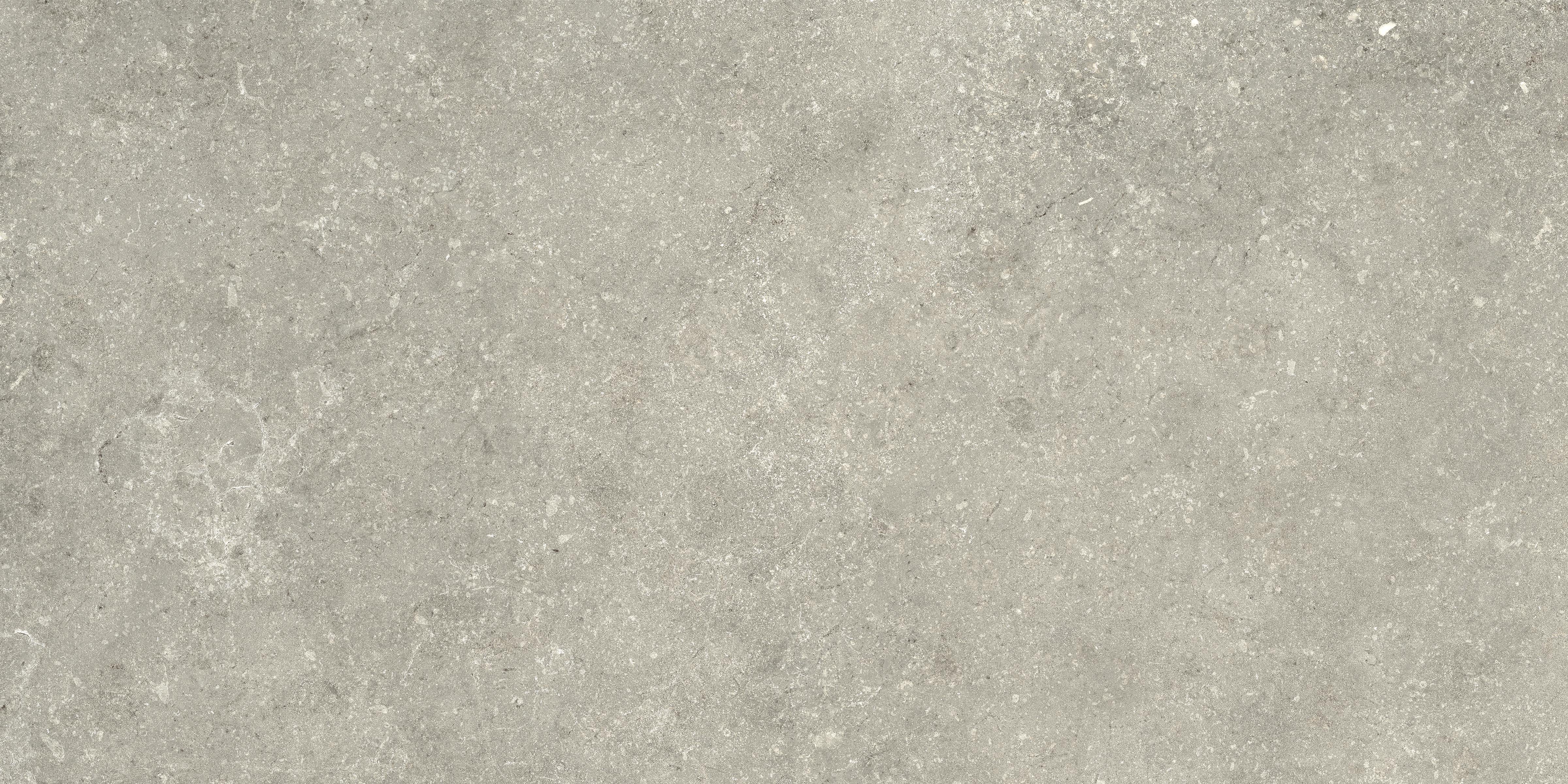 Untamed™ 12x24 Matte Porcelain Tile in Wander Sage