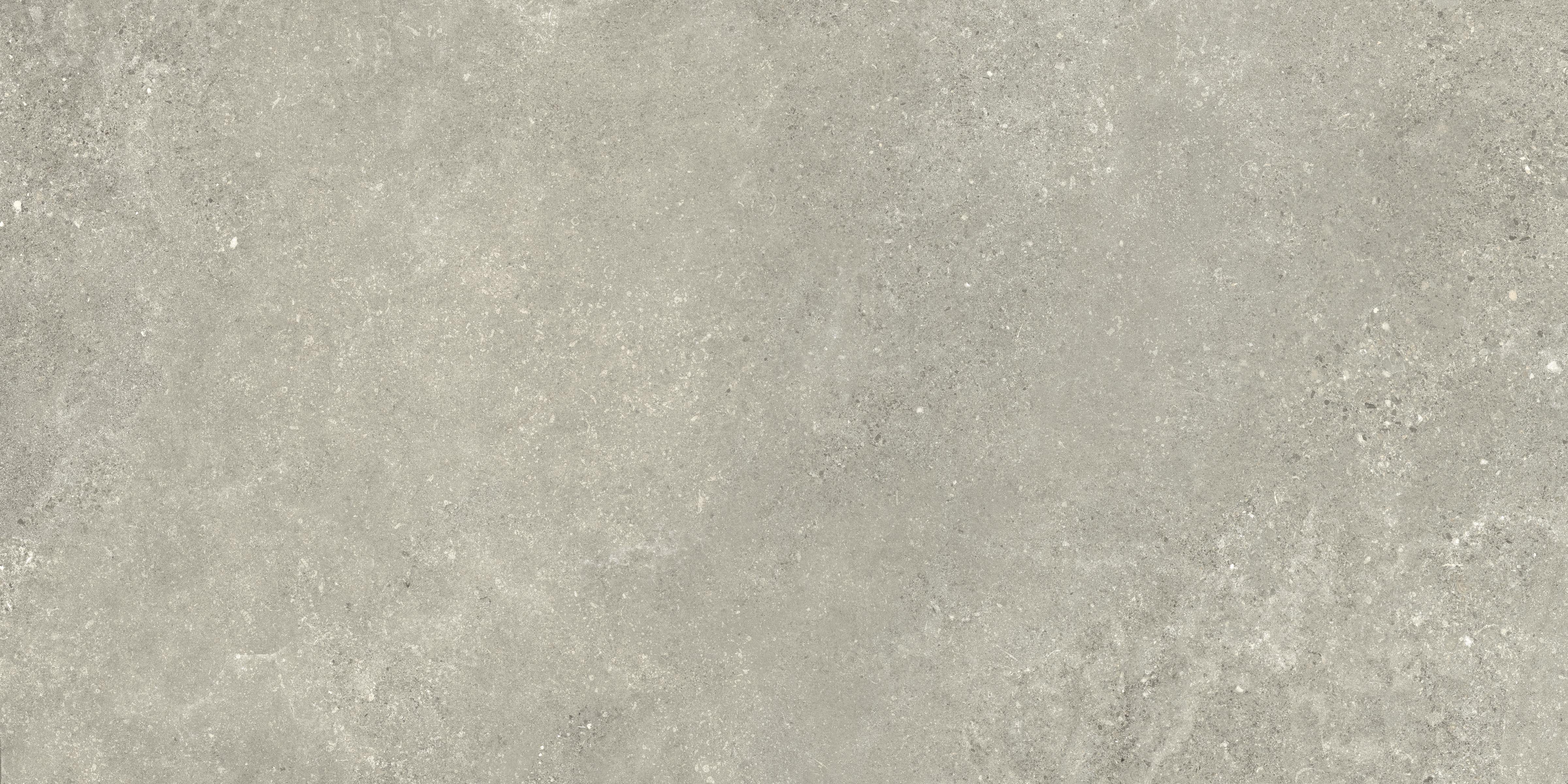 Untamed™ 24x48 Matte Porcelain Tile in Wander Sage