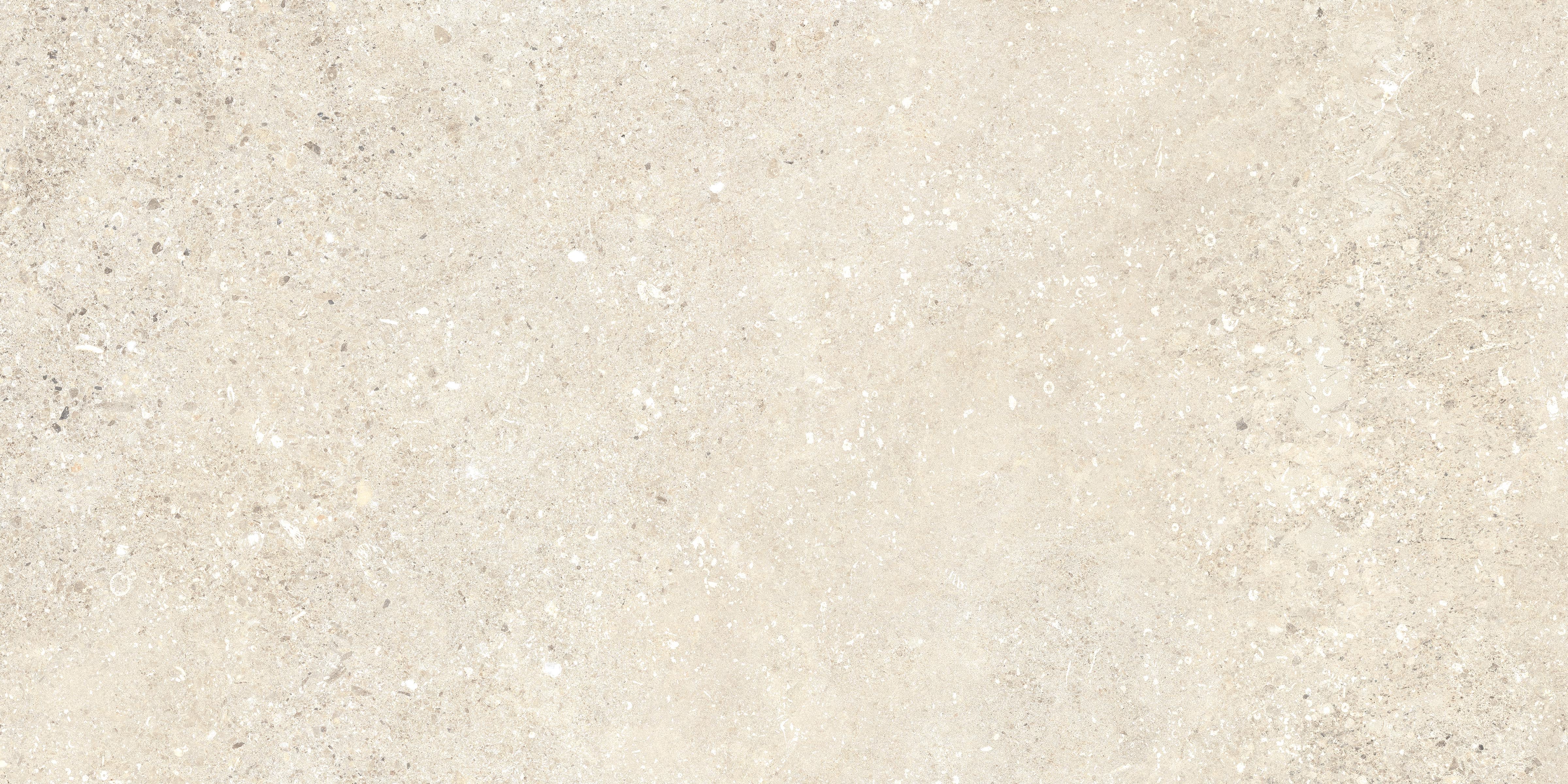 Untamed™ 12x24 Matte Porcelain Tile in Wander Warm
