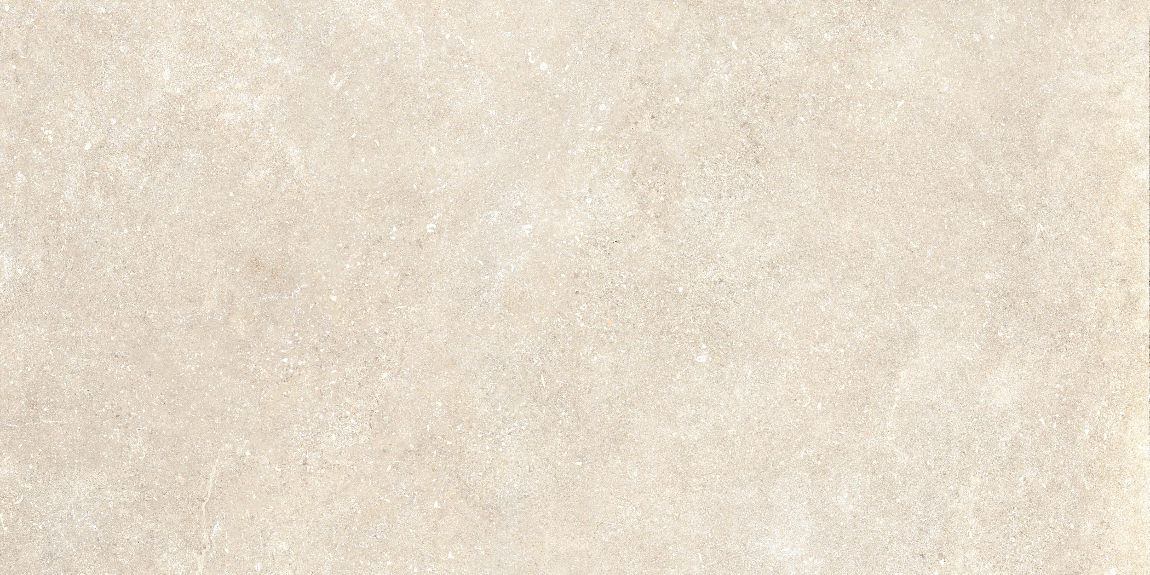 Untamed™ 24x48 Matte Porcelain Tile in Wander Warm