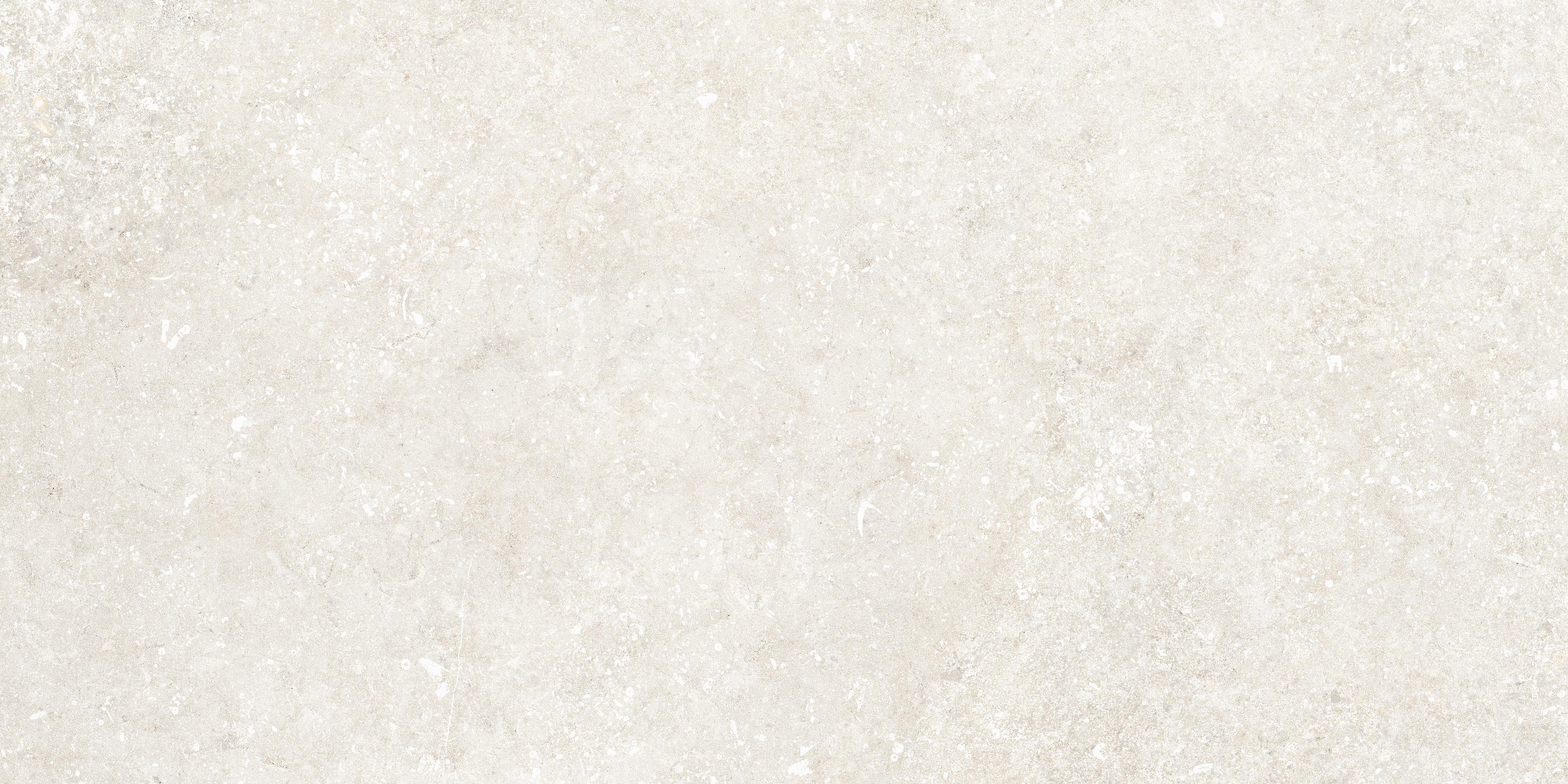 Untamed™ 12x24 Matte Porcelain Tile in Wander White