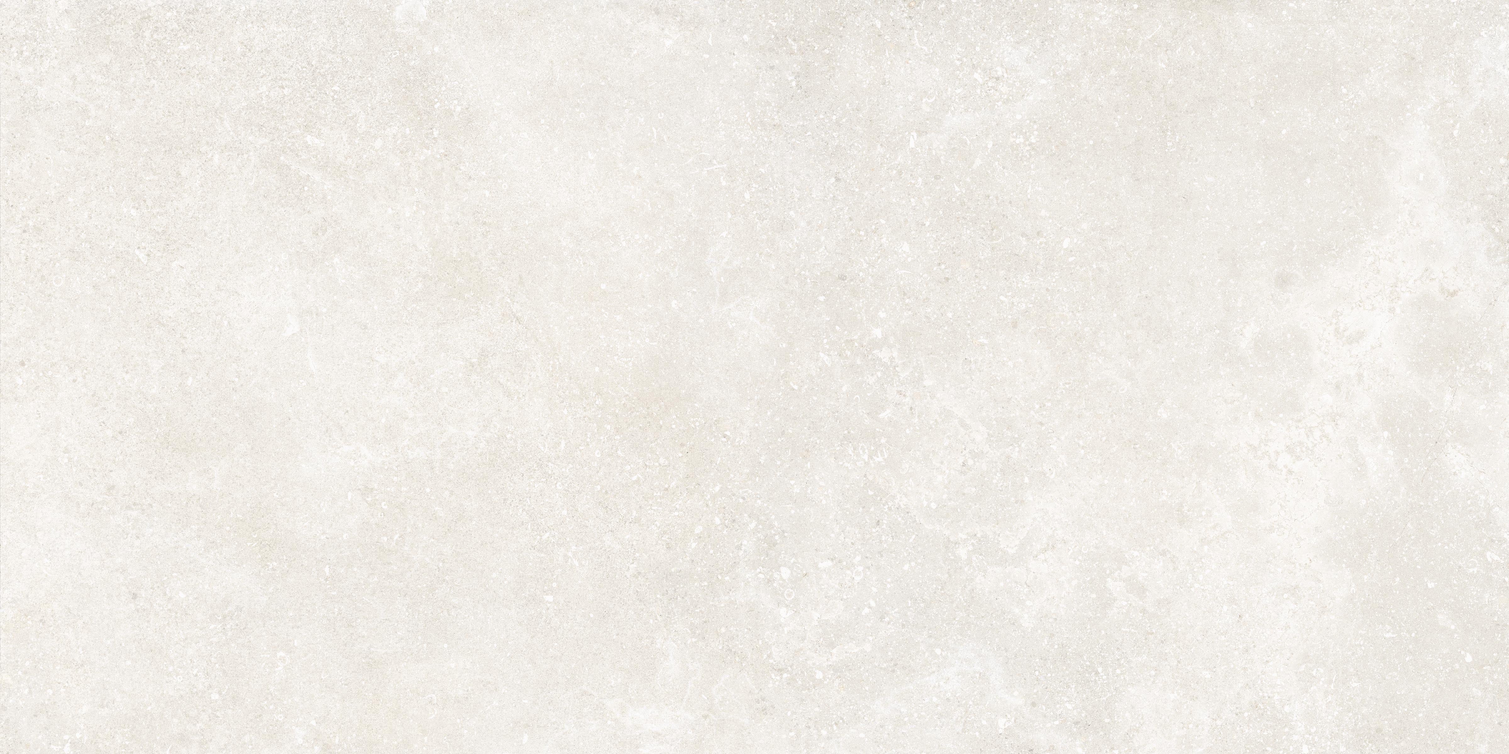 Untamed™ 24x48 Matte Porcelain Tile in Wander White