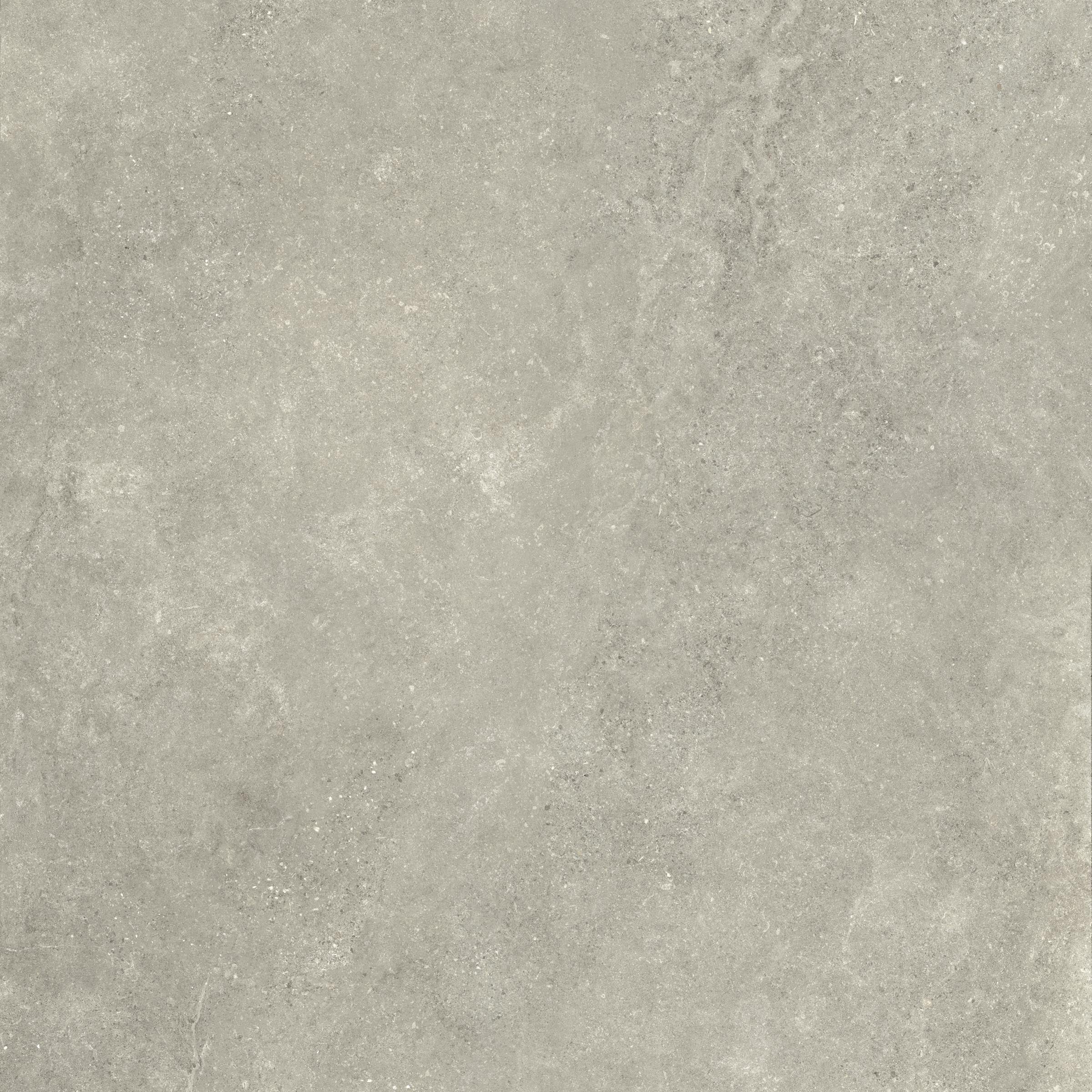 Untamed™ 48x48 Matte Porcelain Tile in Wander Sage