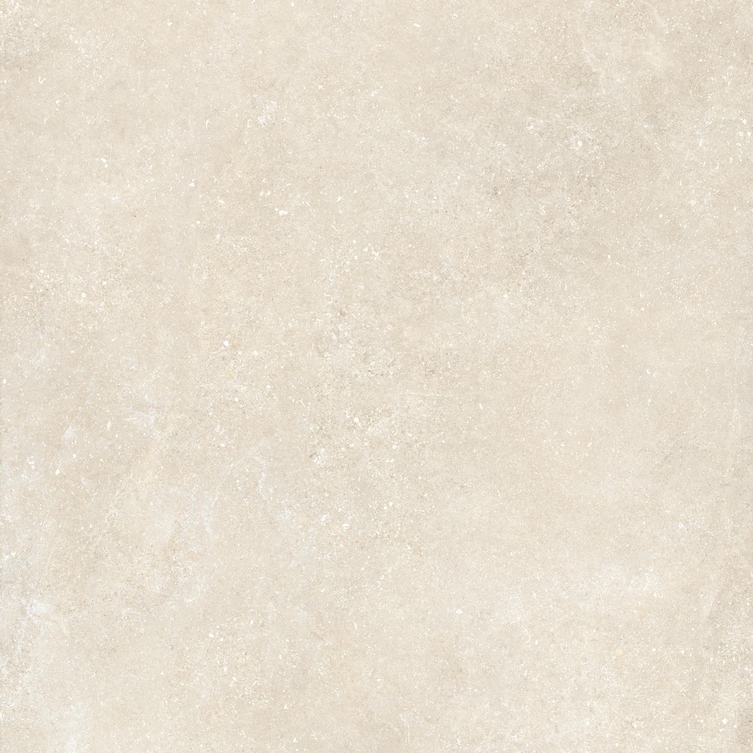 Untamed™ 48x48 Matte Porcelain Tile in Wander Warm