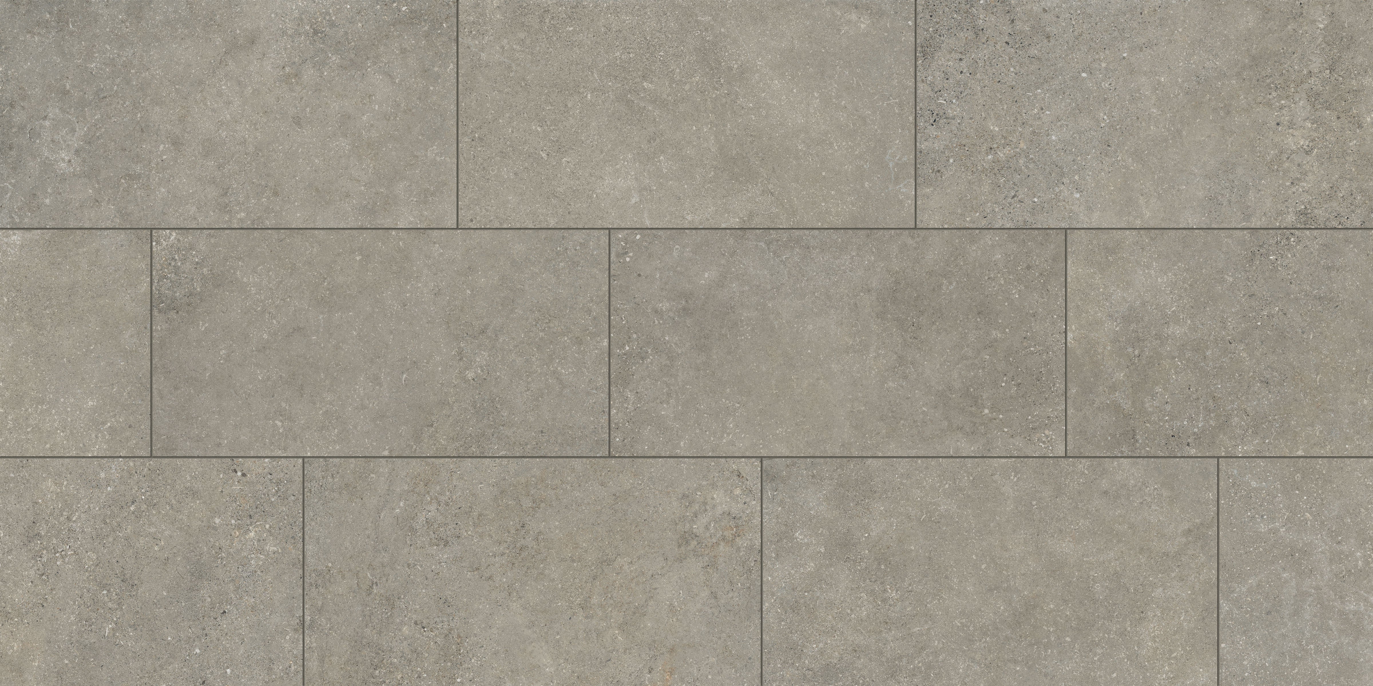 Untamed™ 12x24 Matte Porcelain Tile in Wander Ash